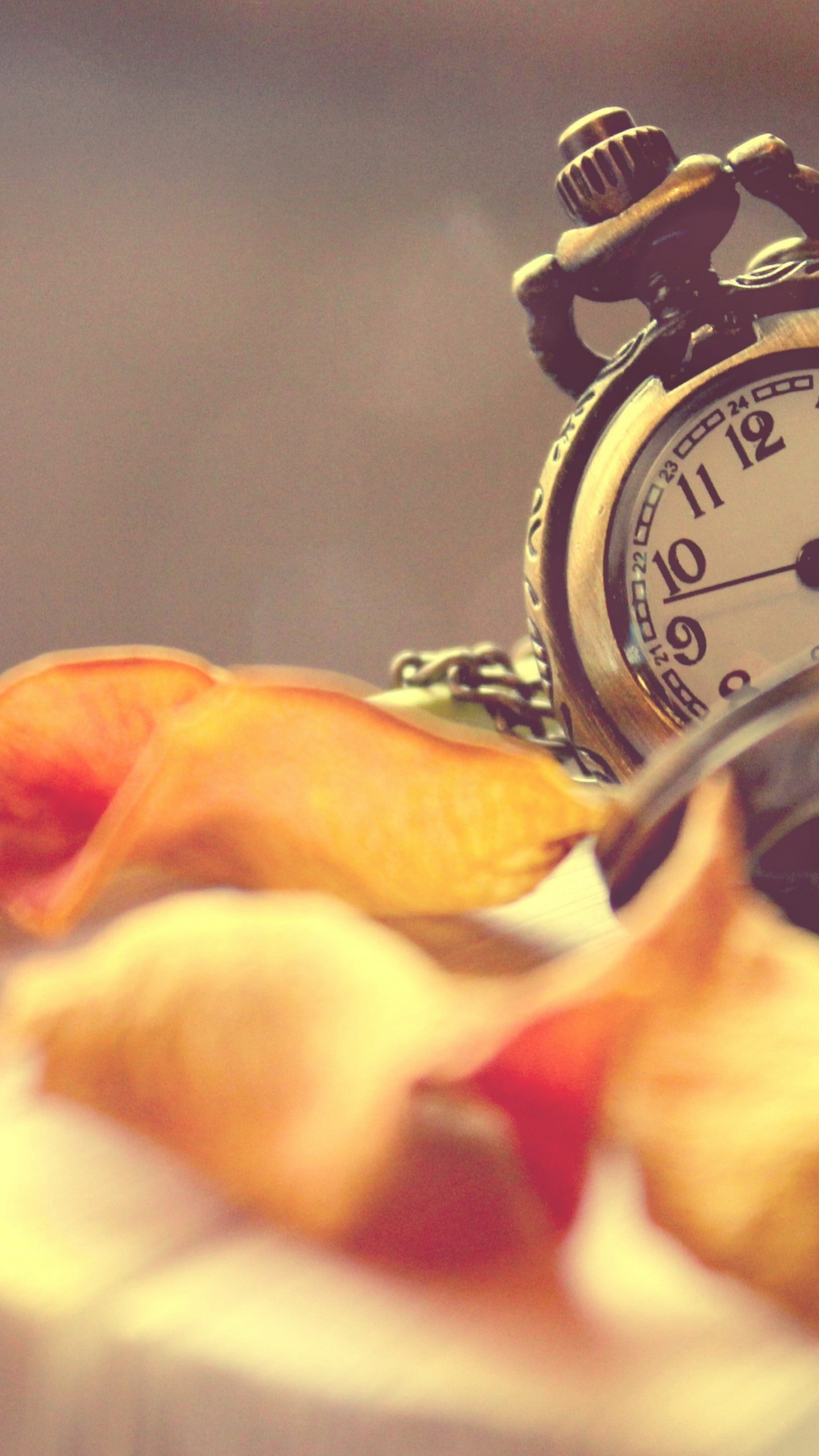 The Wind and i, Everything Must Change, Watch, Analog Watch, Alarm Clock. Wallpaper in 1440x2560 Resolution