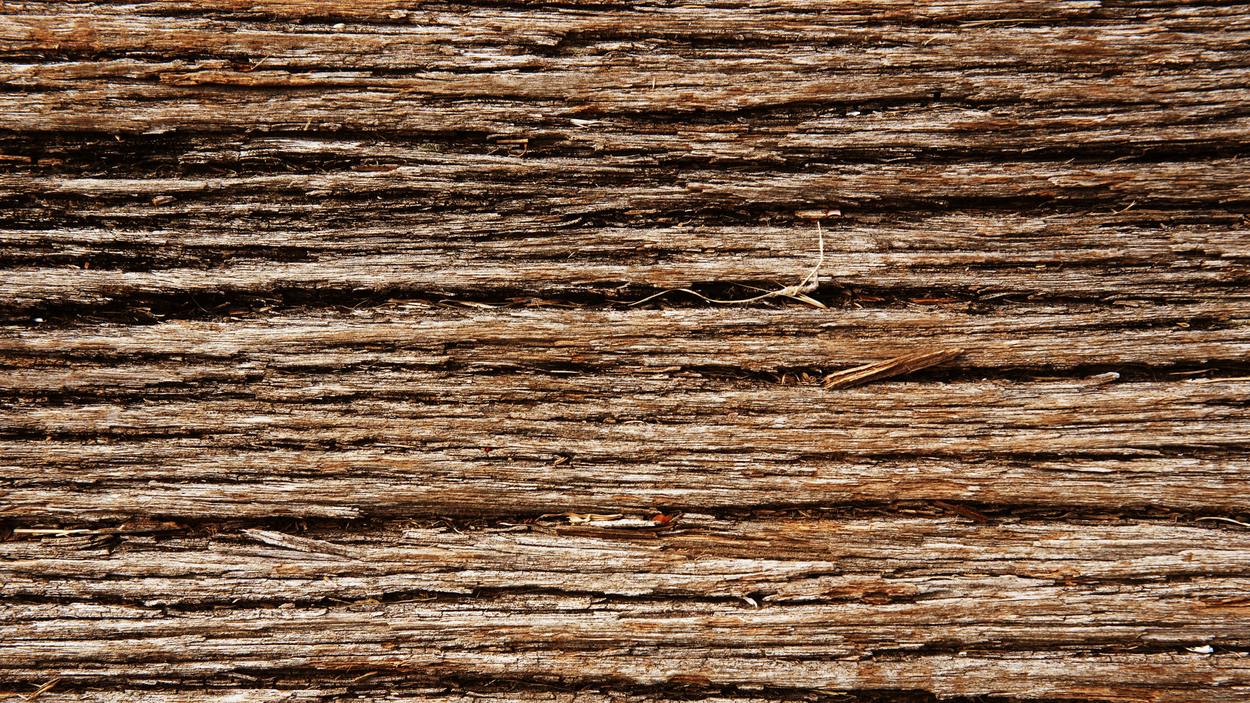 Surface en Bois Marron et Noir. Wallpaper in 2560x1440 Resolution