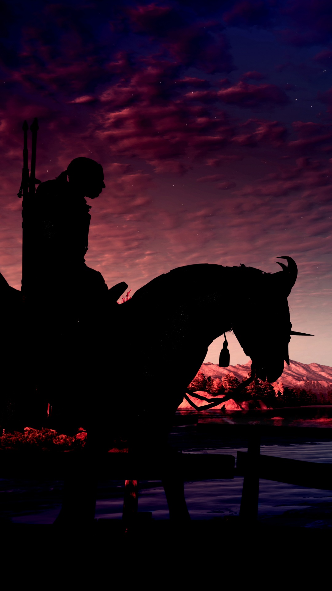 The Witcher 3 Wild Hunt, Playstation 4, Silhouette, Soir, Afterglow. Wallpaper in 1080x1920 Resolution