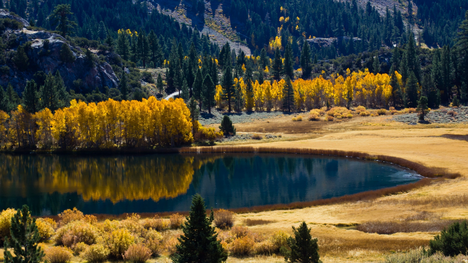 Green Trees Near Lake During Daytime. Wallpaper in 1920x1080 Resolution