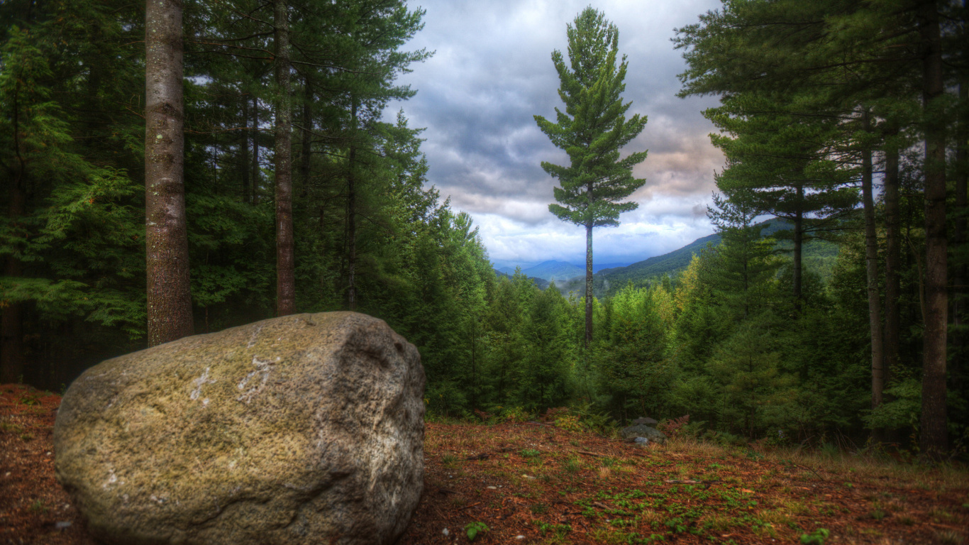 Grauer Felsen Auf Grünem Grasfeld in Der Nähe Von Grünen Bäumen Tagsüber. Wallpaper in 1366x768 Resolution