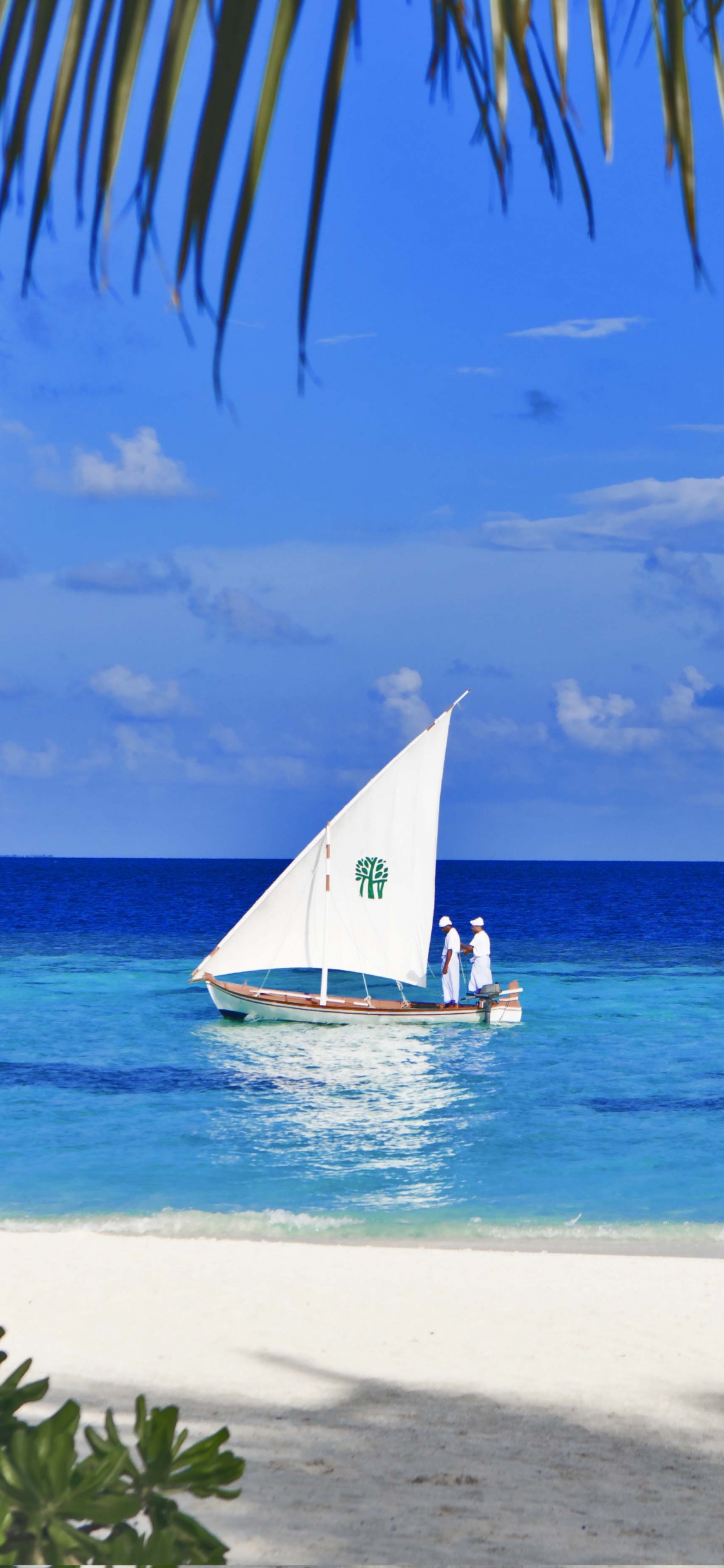Velero Blanco en la Orilla Del Mar Durante el Día. Wallpaper in 1125x2436 Resolution