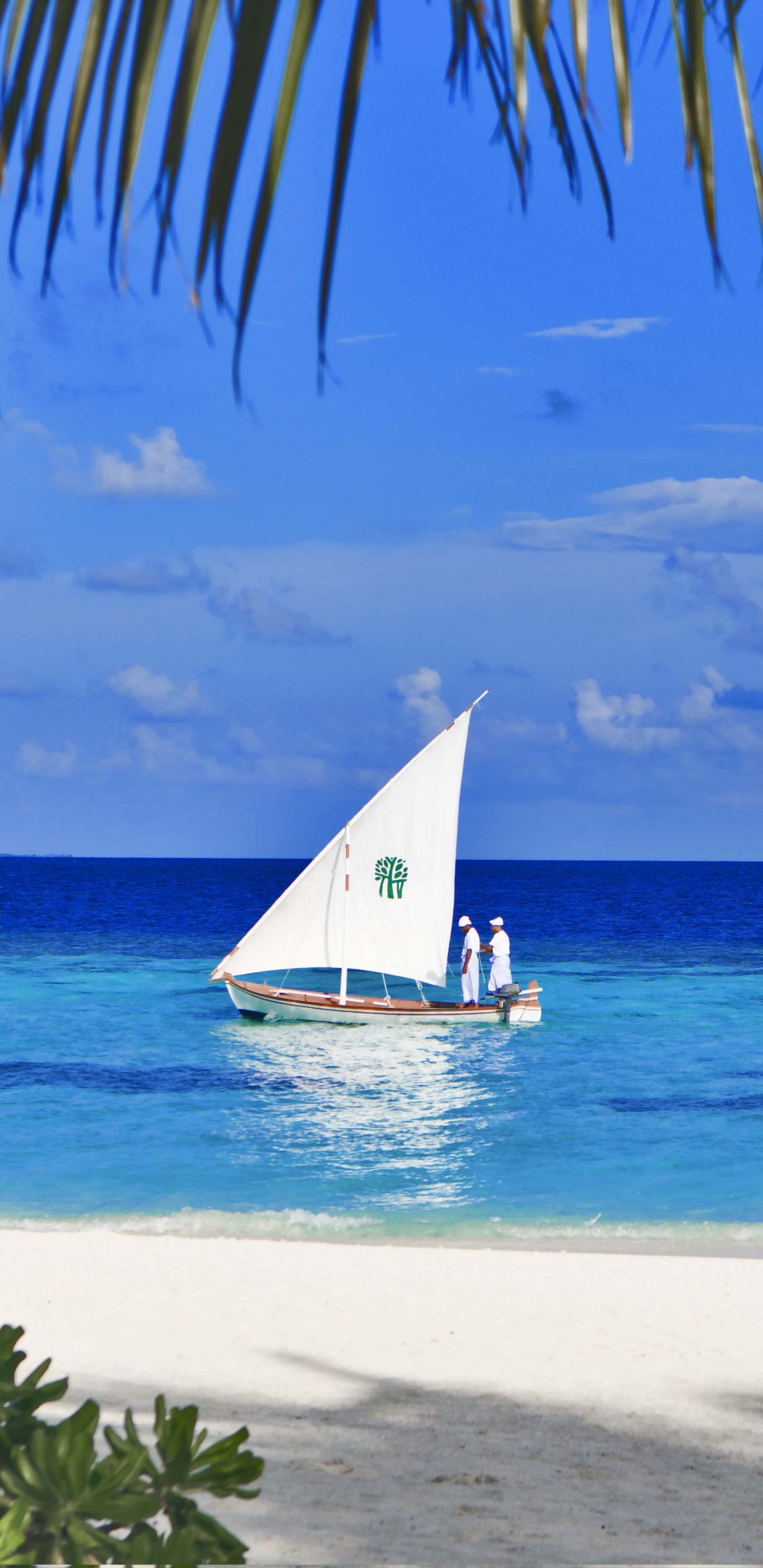 Velero Blanco en la Orilla Del Mar Durante el Día. Wallpaper in 1440x2960 Resolution