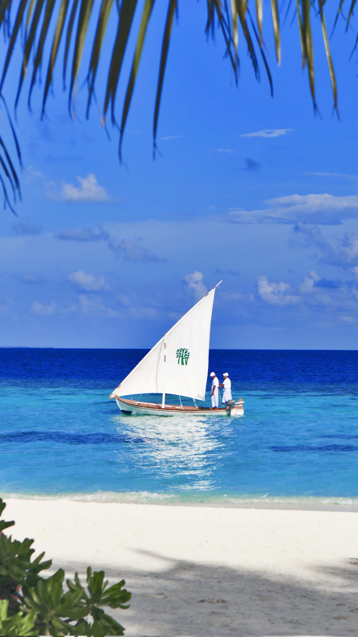 White Sailboat on Sea Shore During Daytime. Wallpaper in 1440x2560 Resolution