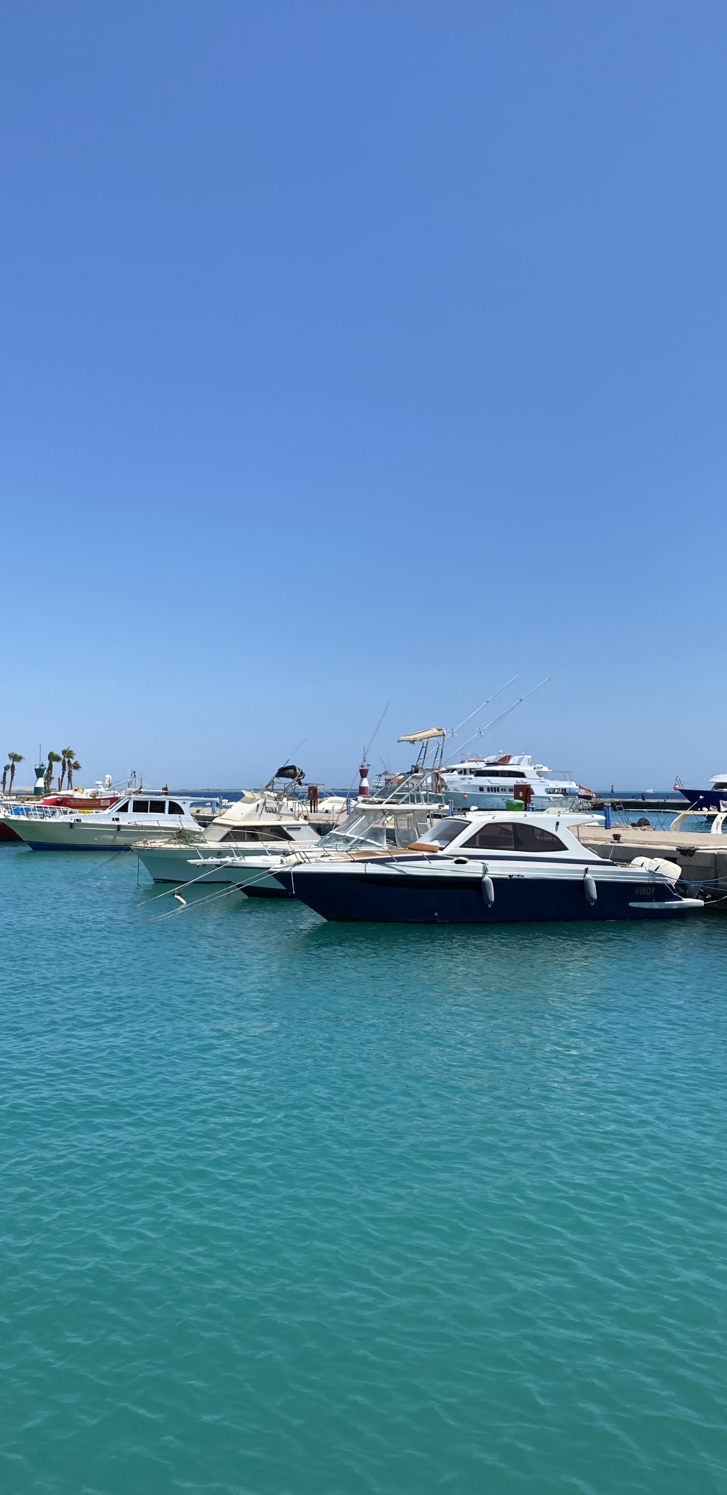 Marina, Ferry, Eau, Superyacht, Motomarine. Wallpaper in 1440x2960 Resolution
