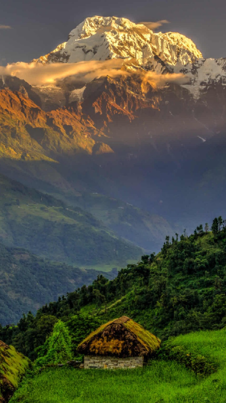 Braunes Holzhaus Auf Grünem Gras Bedeckten Hügel. Wallpaper in 720x1280 Resolution