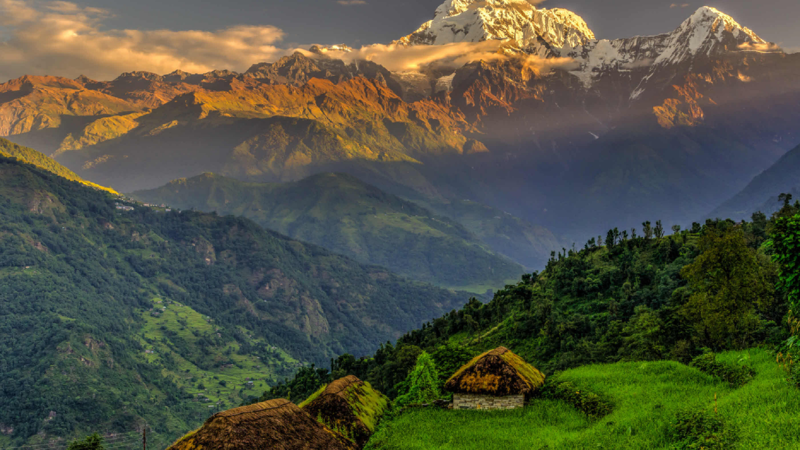 Brown Wooden House on Green Grass Covered Hill. Wallpaper in 2560x1440 Resolution