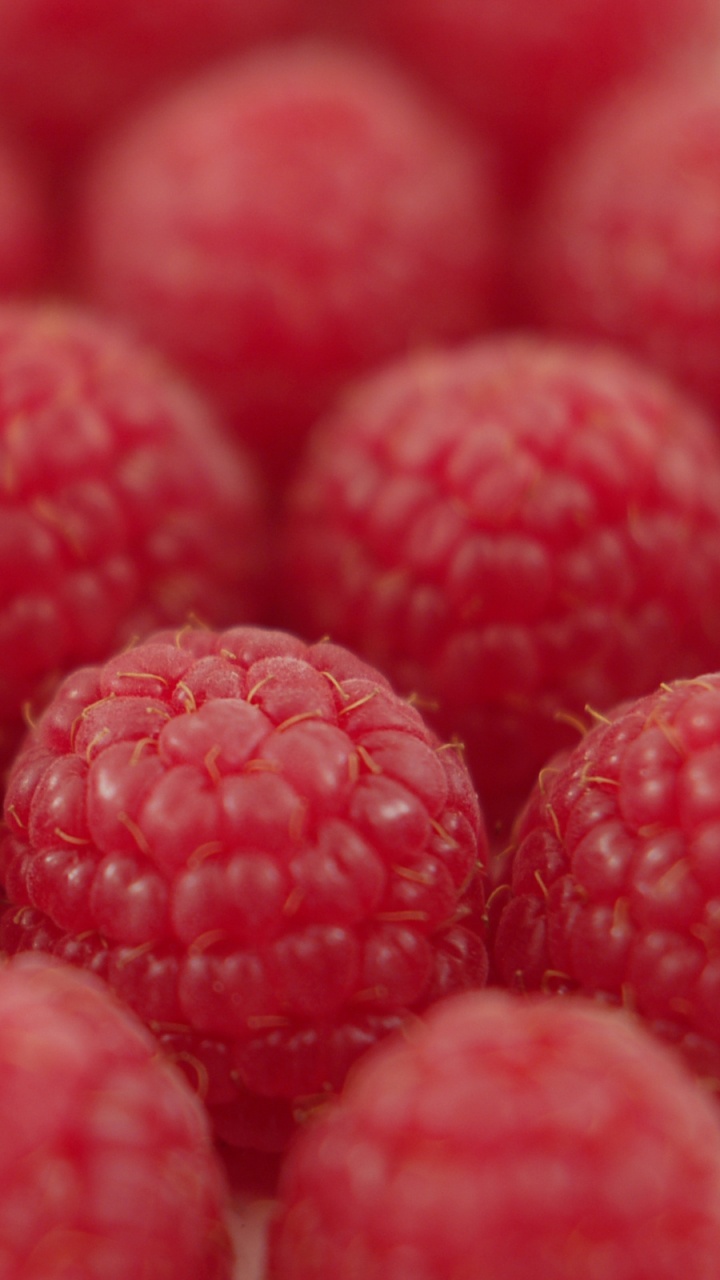 Frutos Rojos Redondos en Fotografía de Cerca. Wallpaper in 720x1280 Resolution