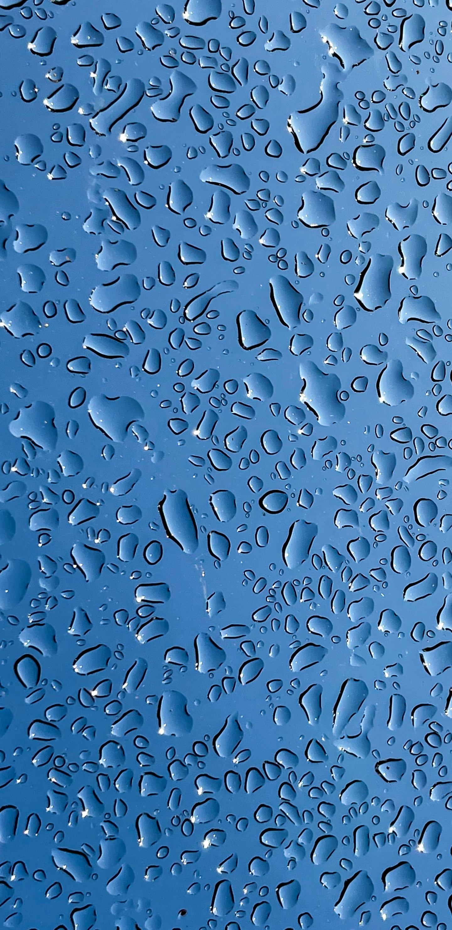 Masjid Namira, Namira Moschee, Wasser, Azure, Blau. Wallpaper in 1440x2960 Resolution