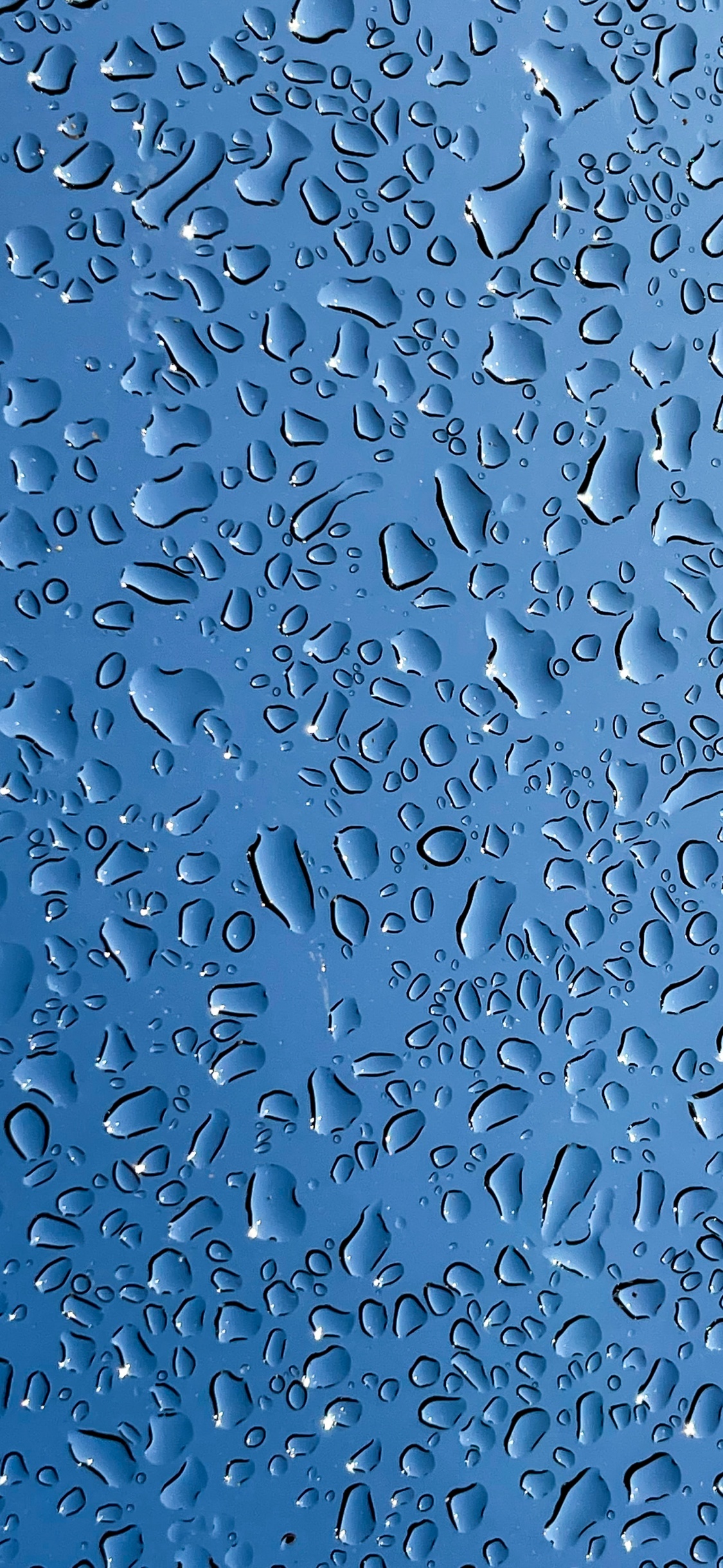 Mezquita Namira, Agua, Azure, Azul, Aqua. Wallpaper in 1125x2436 Resolution