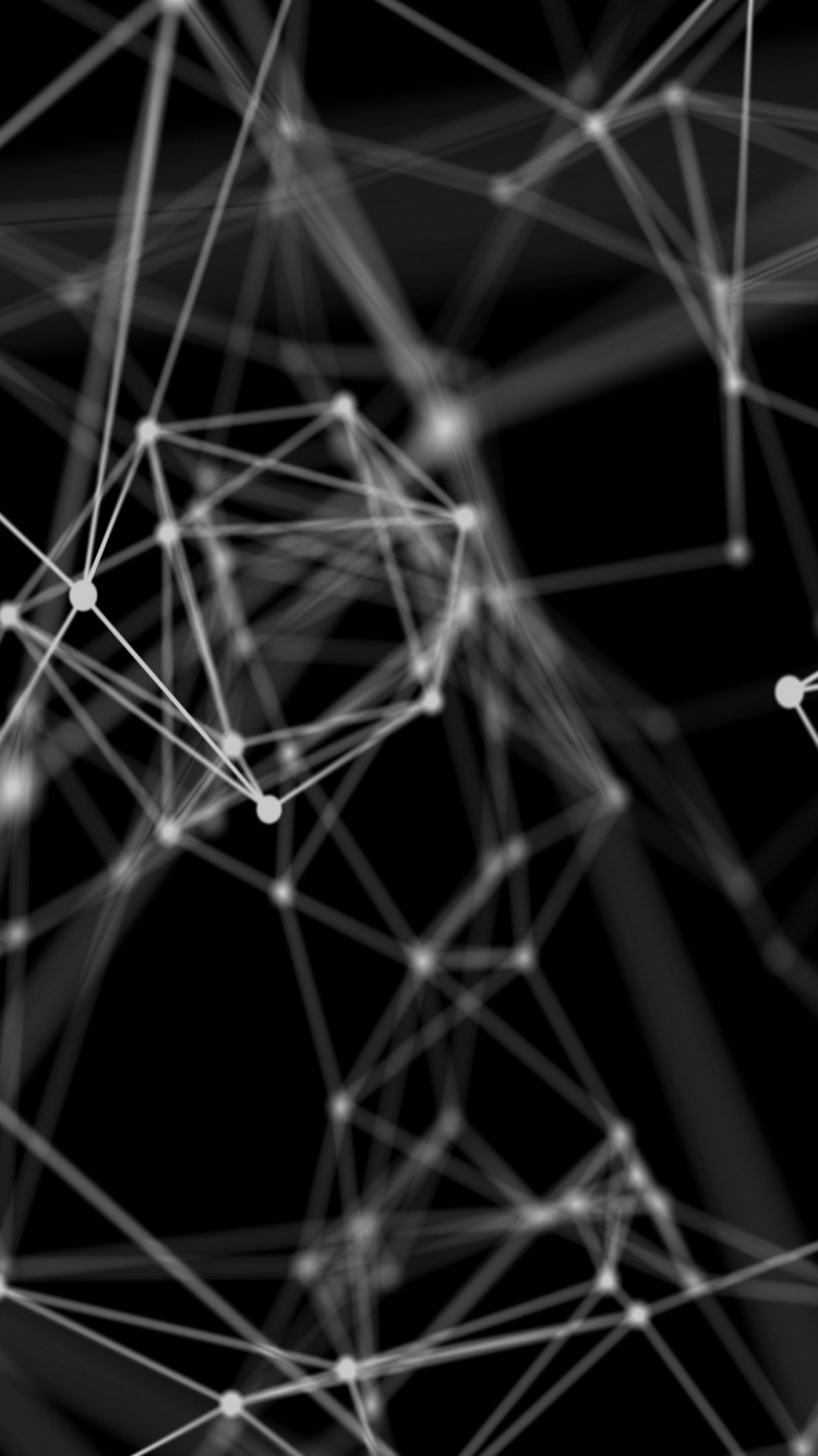 黑色和白色的, 黑色的, 对称, 结构, 蜘蛛网 壁纸 750x1334 允许