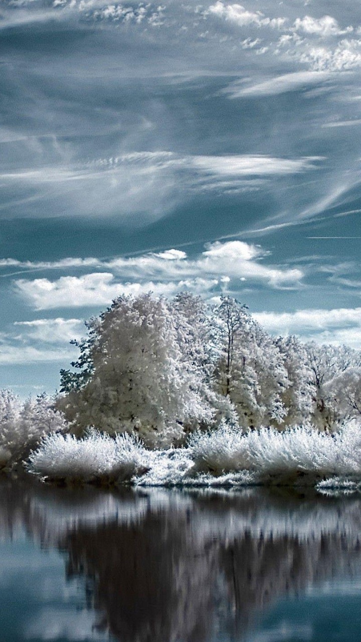 Weiße Schneebedeckte Bäume am See Unter Blauem Himmel Tagsüber. Wallpaper in 720x1280 Resolution