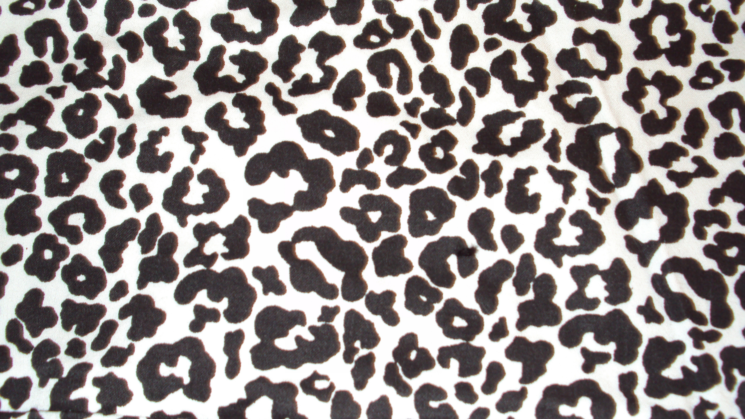 Textile Léopard Noir et Blanc. Wallpaper in 2560x1440 Resolution
