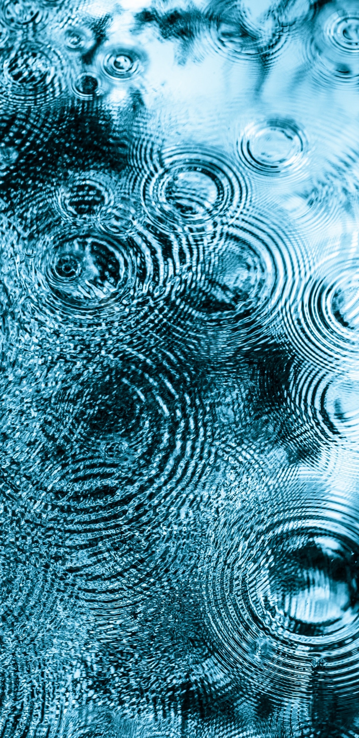 Wasseroberfläche, Oberflächenspannung, Tropfen, Wasser, Kapillarwelle. Wallpaper in 1440x2960 Resolution