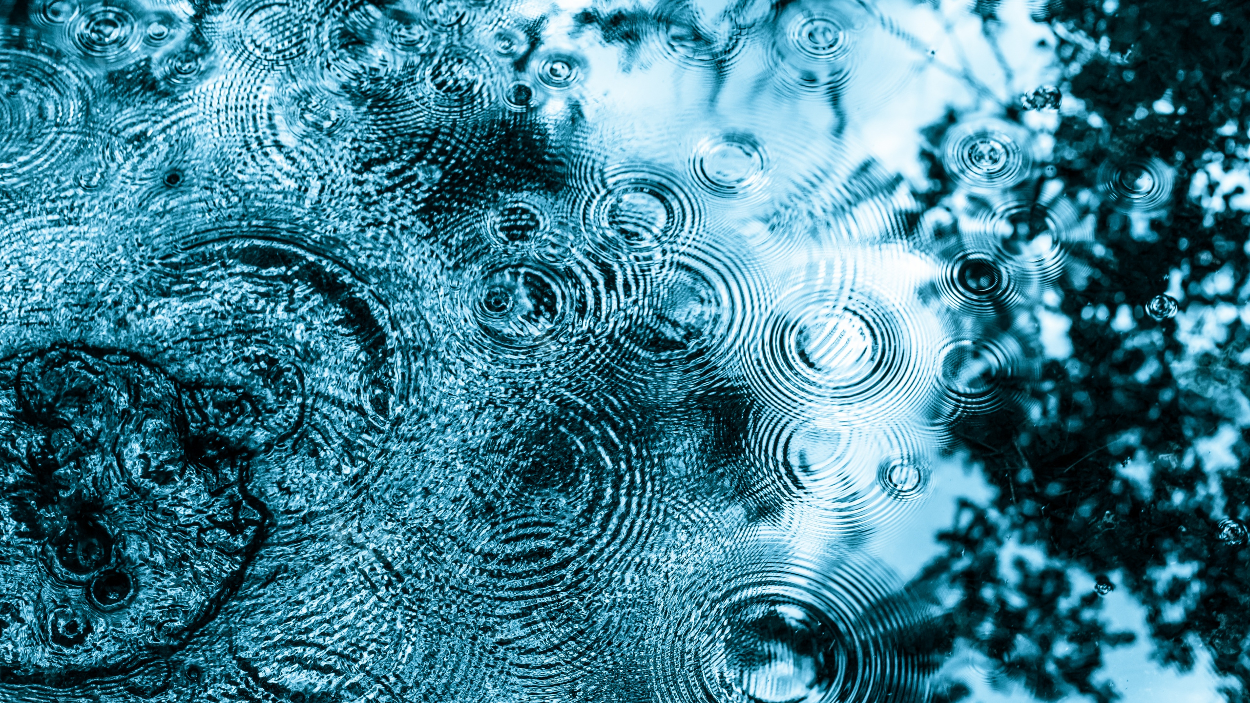 Wasseroberfläche, Oberflächenspannung, Tropfen, Wasser, Kapillarwelle. Wallpaper in 2560x1440 Resolution