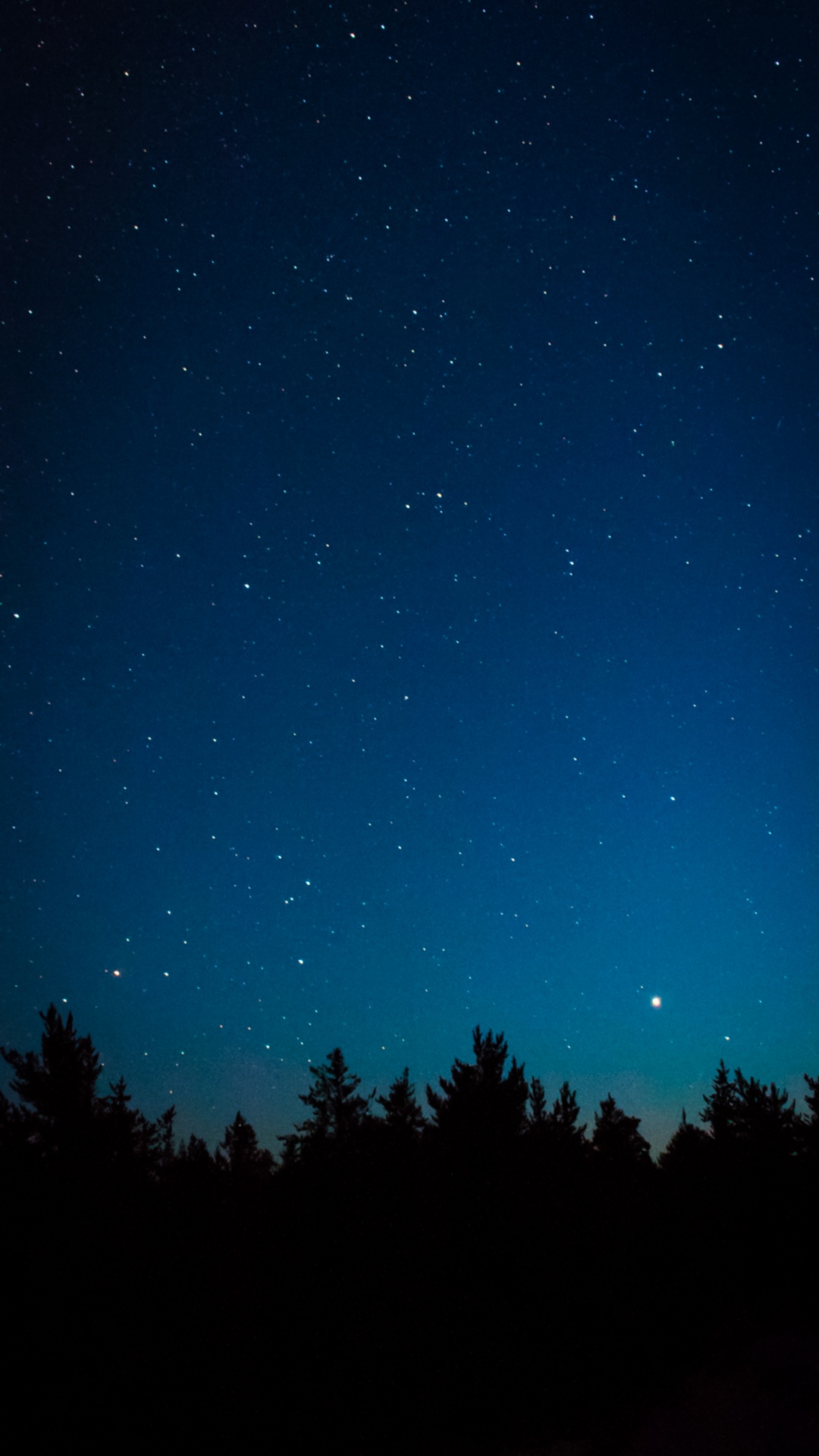 Astronomy, Atmosphere, Natural Landscape, Natural Environment, Tree. Wallpaper in 1080x1920 Resolution