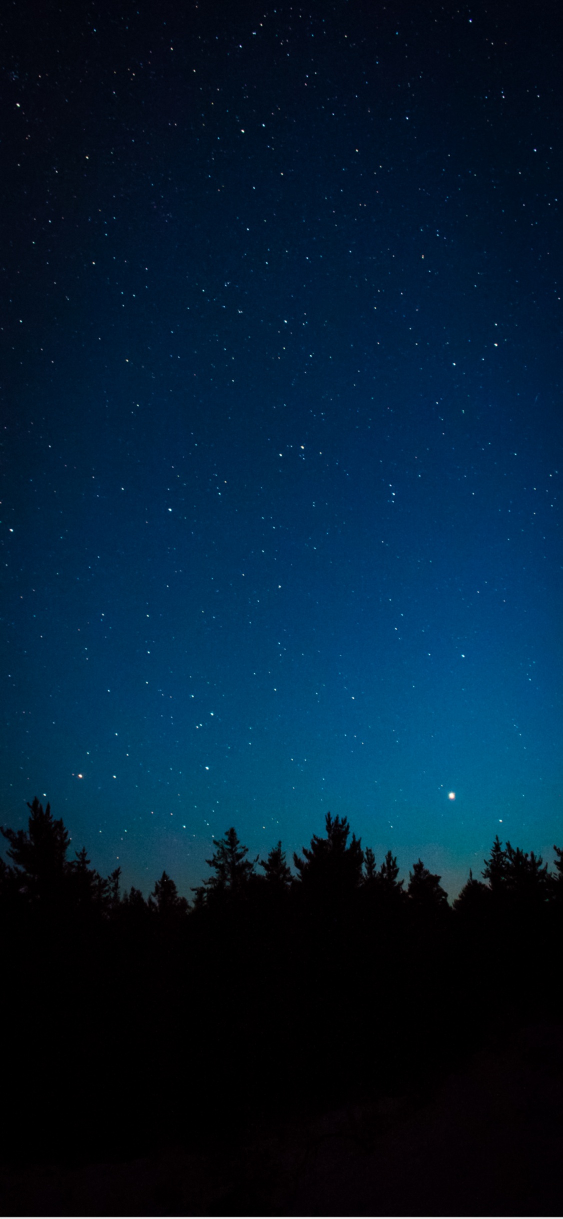 Astronomy, Atmosphere, Natural Landscape, Natural Environment, Tree. Wallpaper in 1125x2436 Resolution