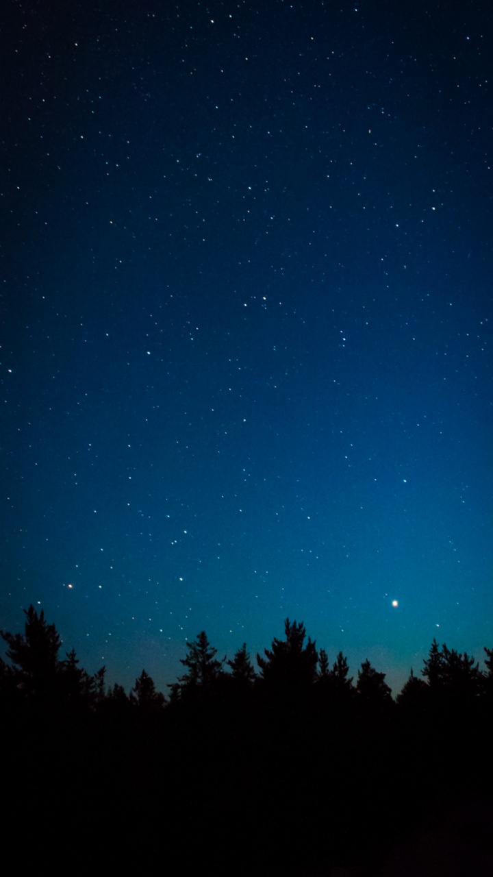 Astronomy, Atmosphere, Natural Landscape, Natural Environment, Tree. Wallpaper in 720x1280 Resolution