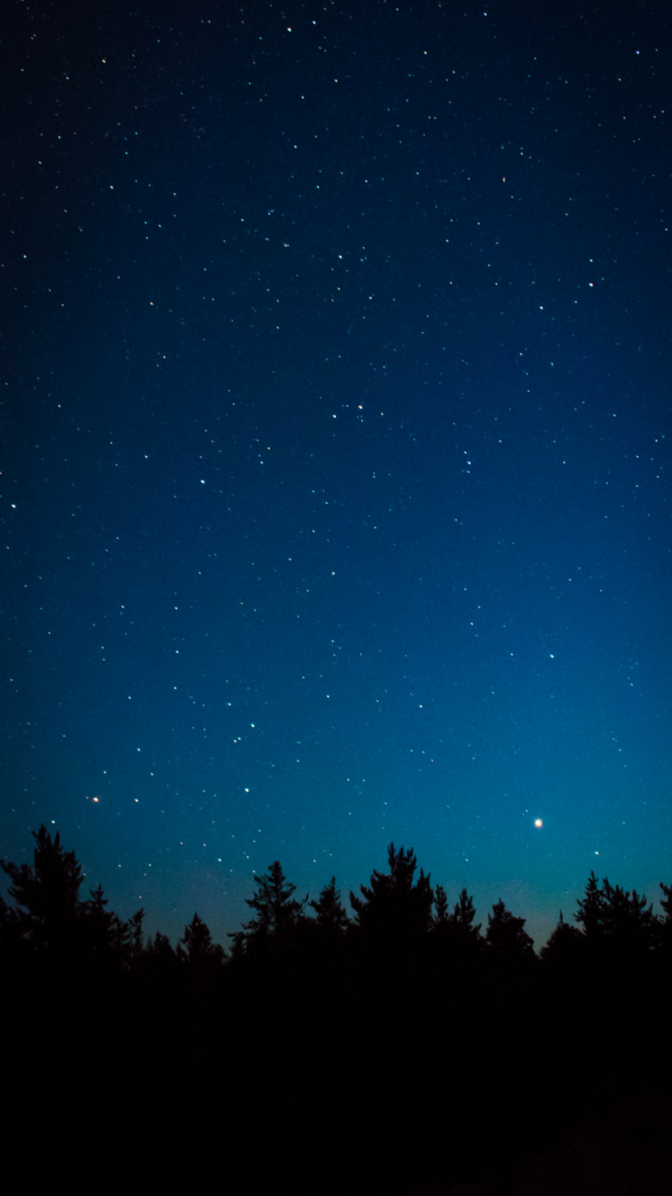 Astronomy, Atmosphere, Natural Landscape, Natural Environment, Tree. Wallpaper in 750x1334 Resolution