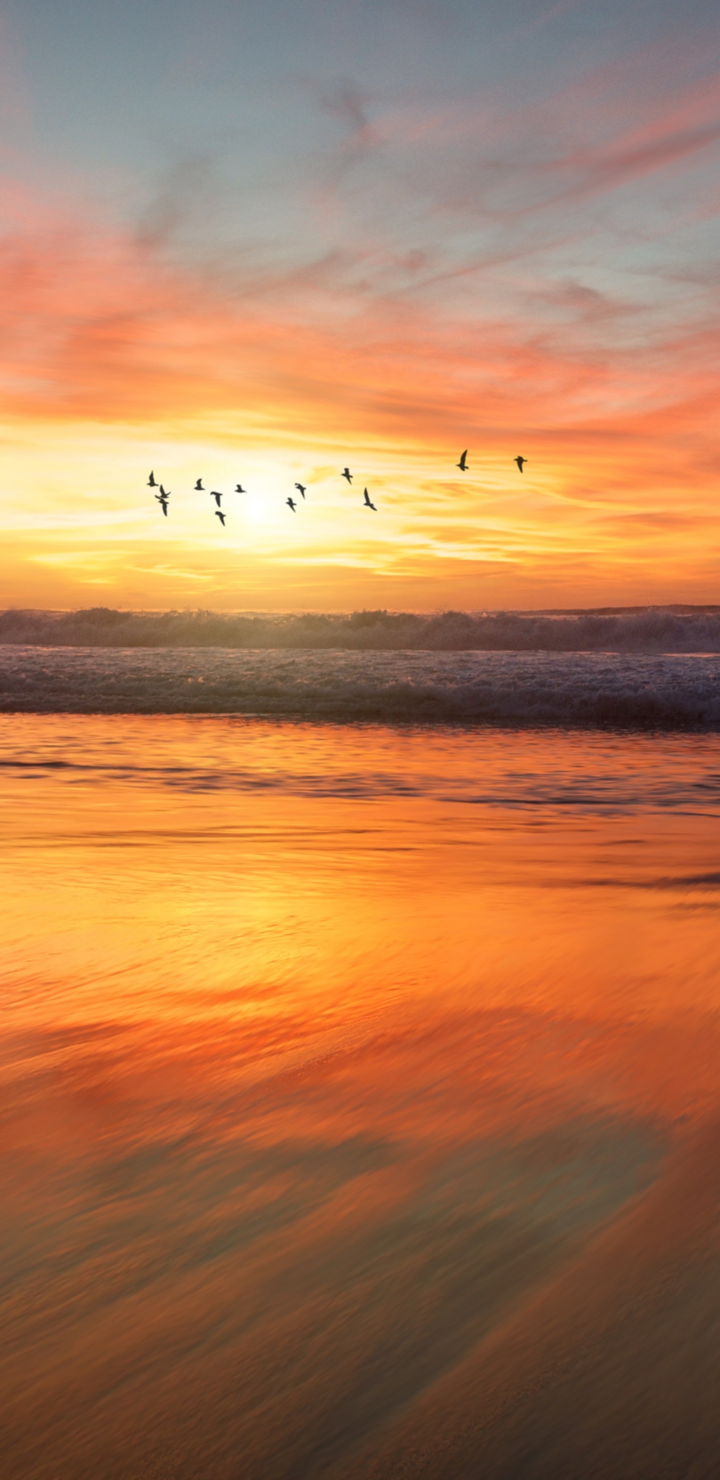 Lever, Horizon, Afterglow, Nature, Mer. Wallpaper in 1440x2960 Resolution