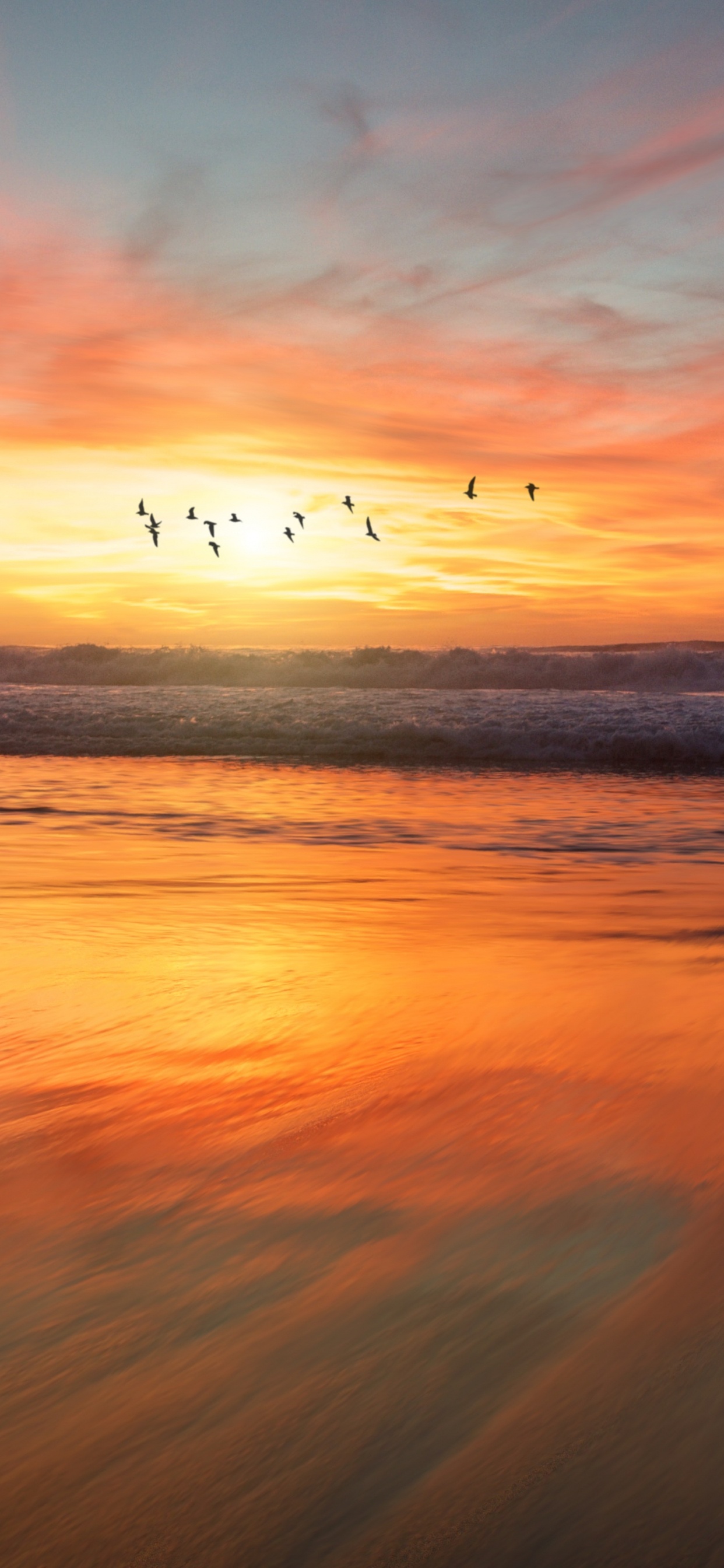 Sonnenuntergang, Sonnenaufgang, Horizont, Afterglow, Natur. Wallpaper in 1242x2688 Resolution