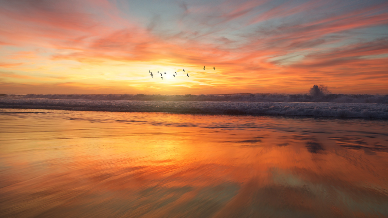 Sonnenuntergang, Sonnenaufgang, Horizont, Afterglow, Natur. Wallpaper in 1280x720 Resolution