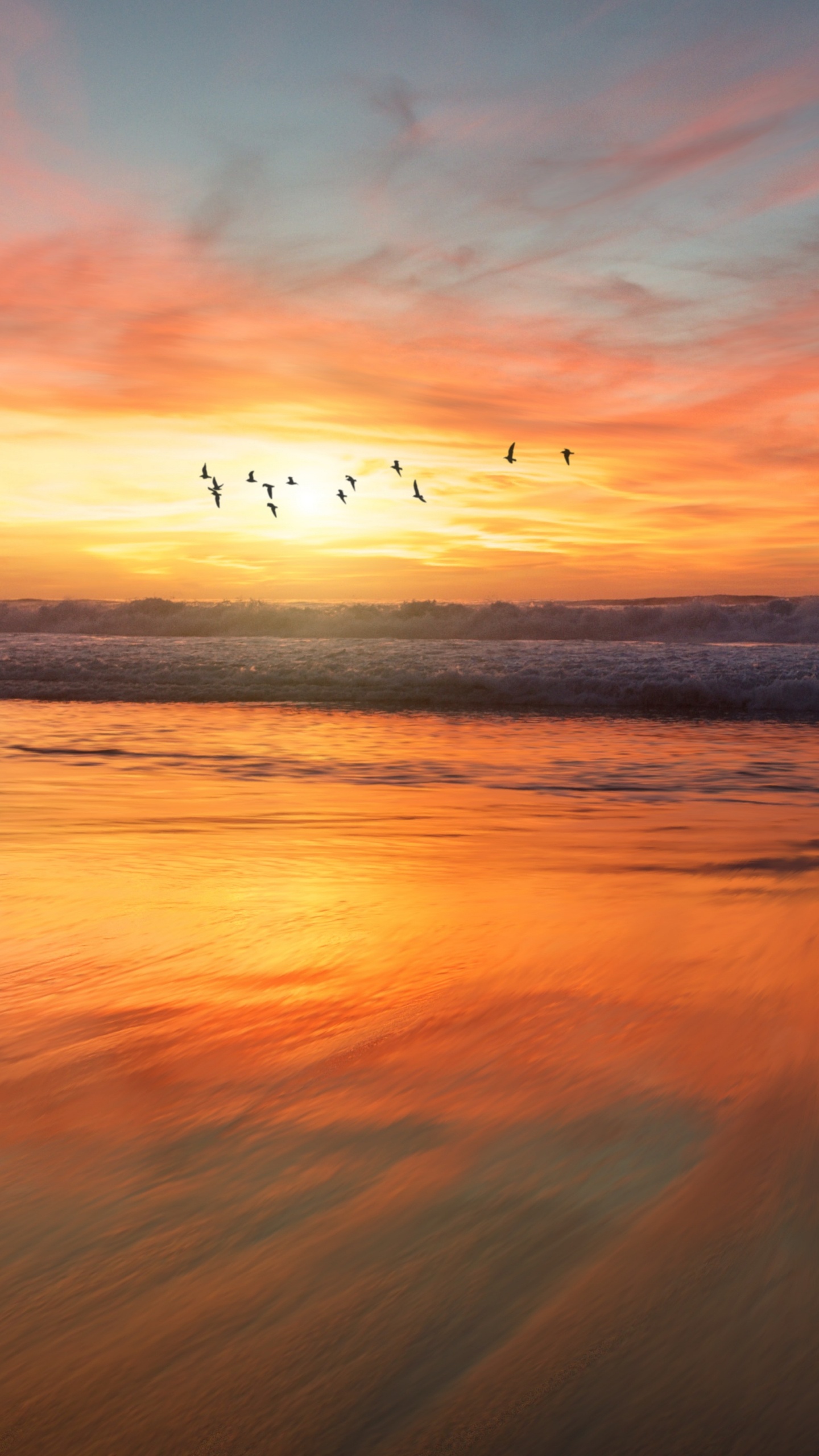 Sonnenuntergang, Sonnenaufgang, Horizont, Afterglow, Natur. Wallpaper in 1440x2560 Resolution