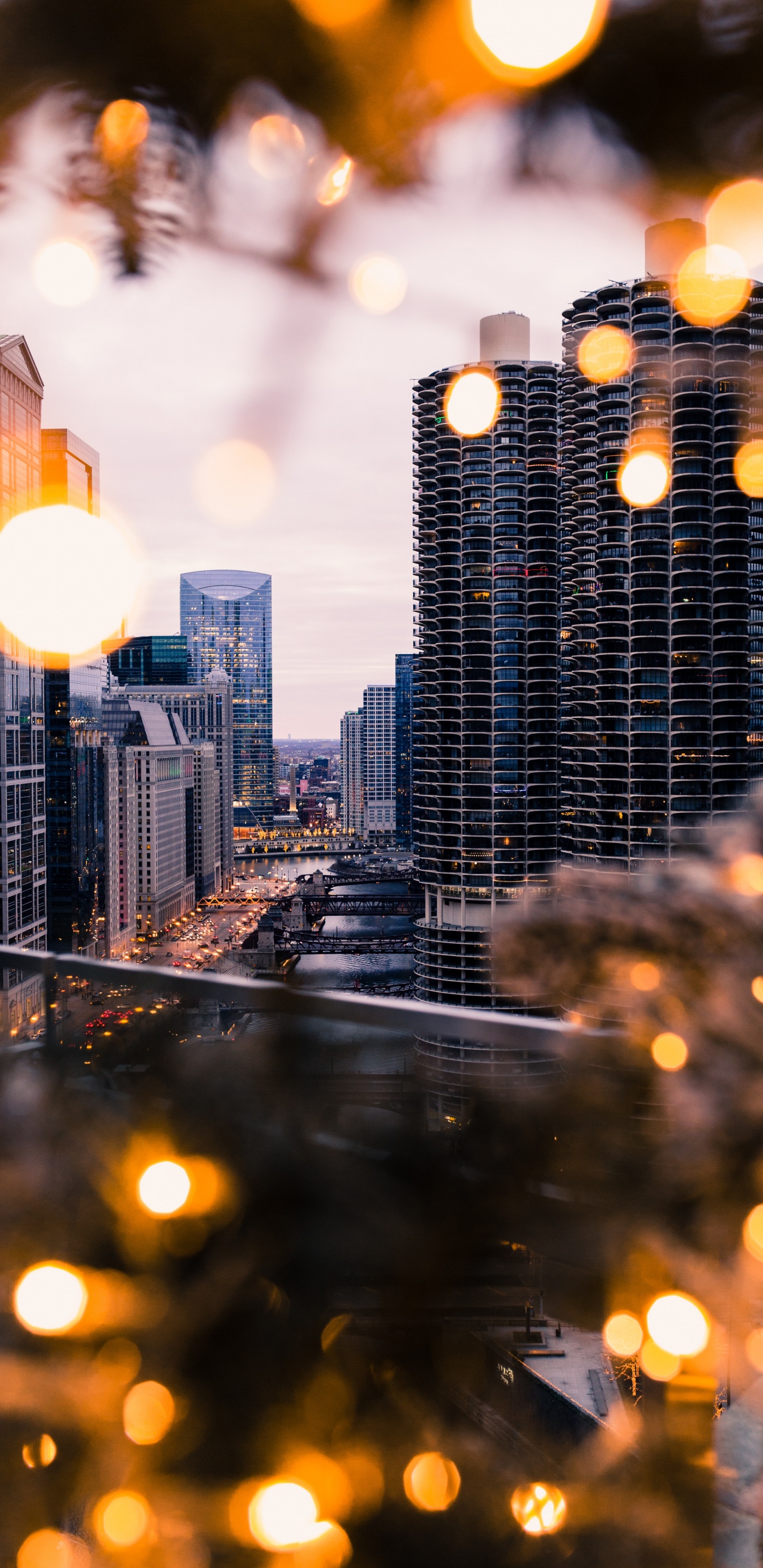 Bâtiments de la Ville Pendant la Nuit. Wallpaper in 1440x2960 Resolution