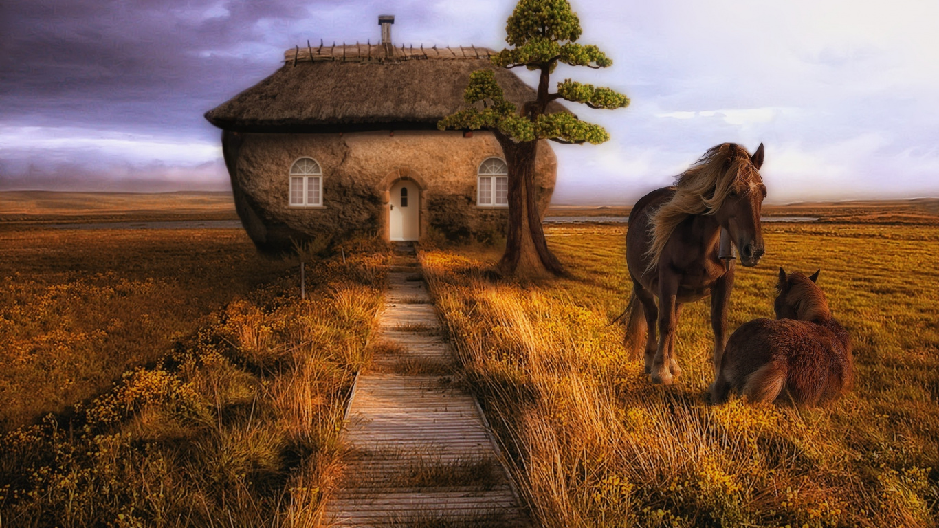 Brown Wooden Pathway Between Green Grass Field Near White Concrete House. Wallpaper in 1366x768 Resolution