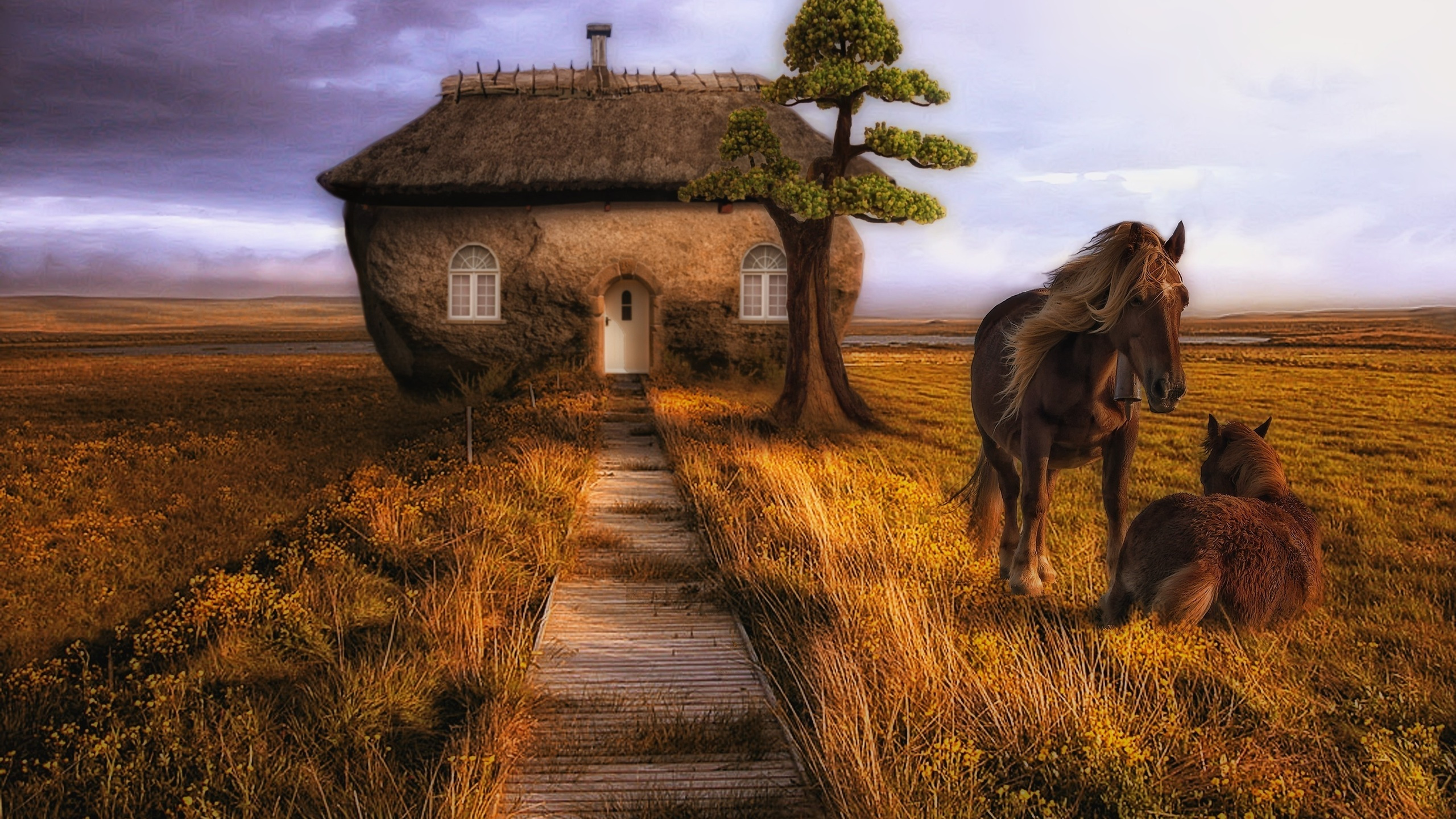 Brown Wooden Pathway Between Green Grass Field Near White Concrete House. Wallpaper in 2560x1440 Resolution