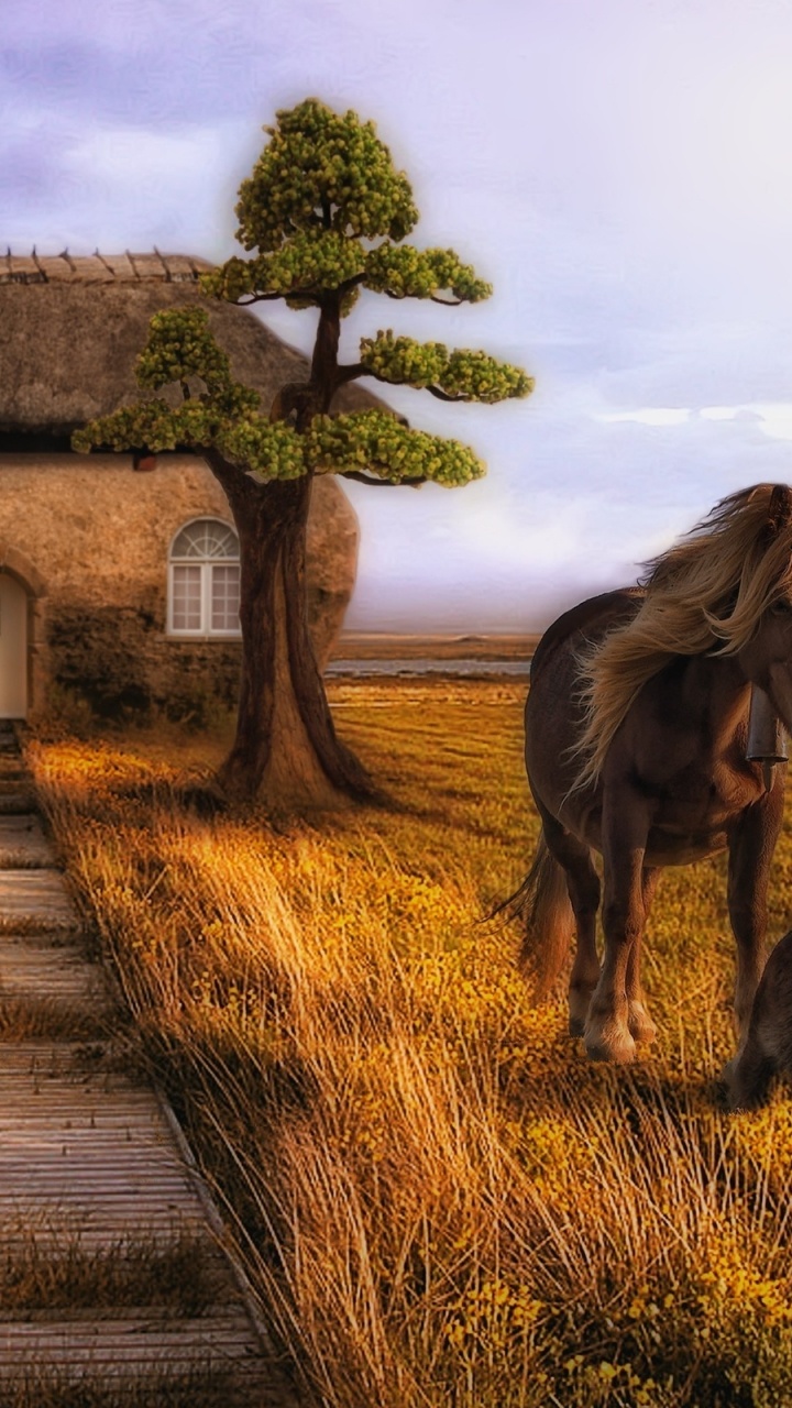 Brown Wooden Pathway Between Green Grass Field Near White Concrete House. Wallpaper in 720x1280 Resolution