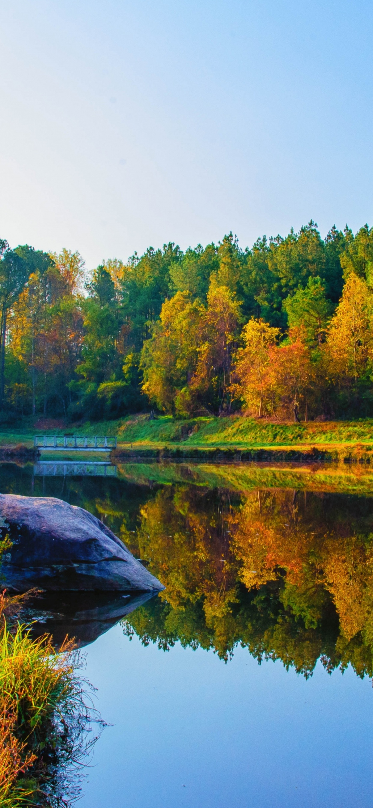 Jardín Botánico de Wellington, el Jardín Botánico De, Naturaleza, Agua, Los Recursos de Agua. Wallpaper in 1242x2688 Resolution