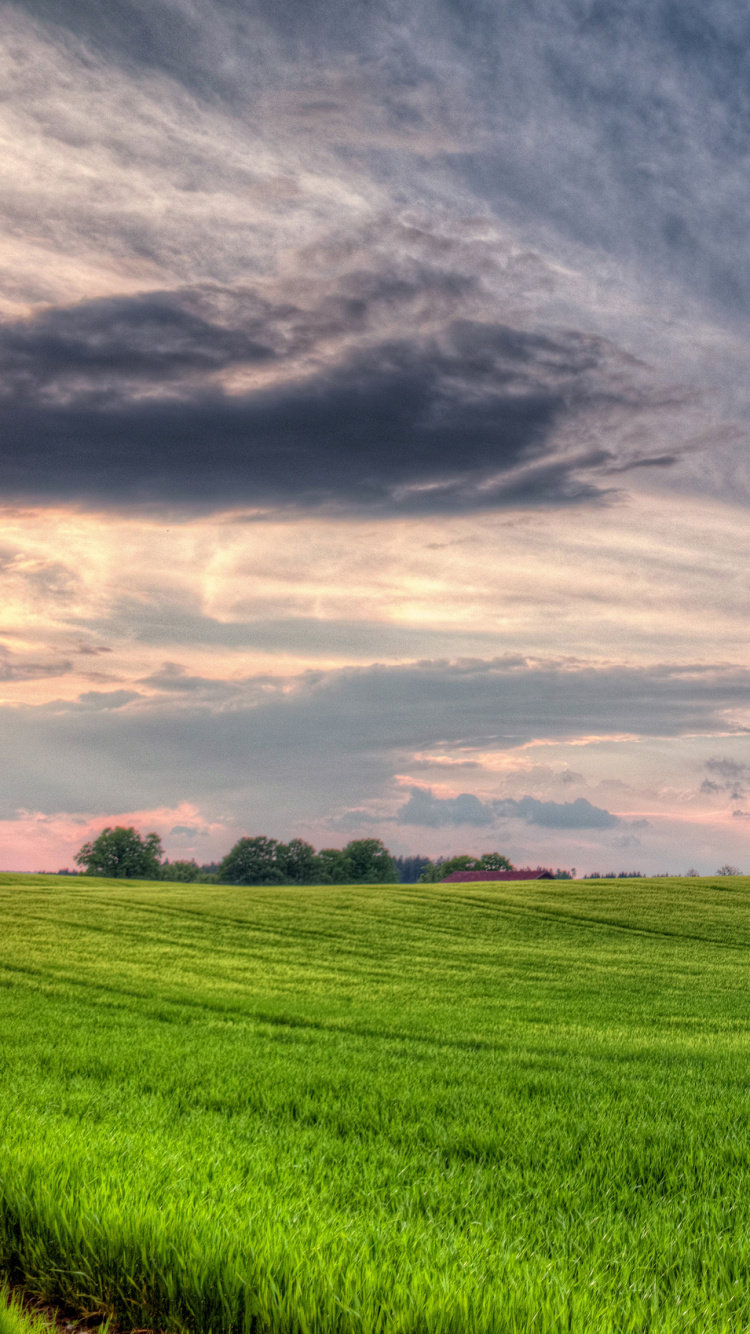 Champ D'herbe Verte Sous Les Nuages Gris. Wallpaper in 750x1334 Resolution