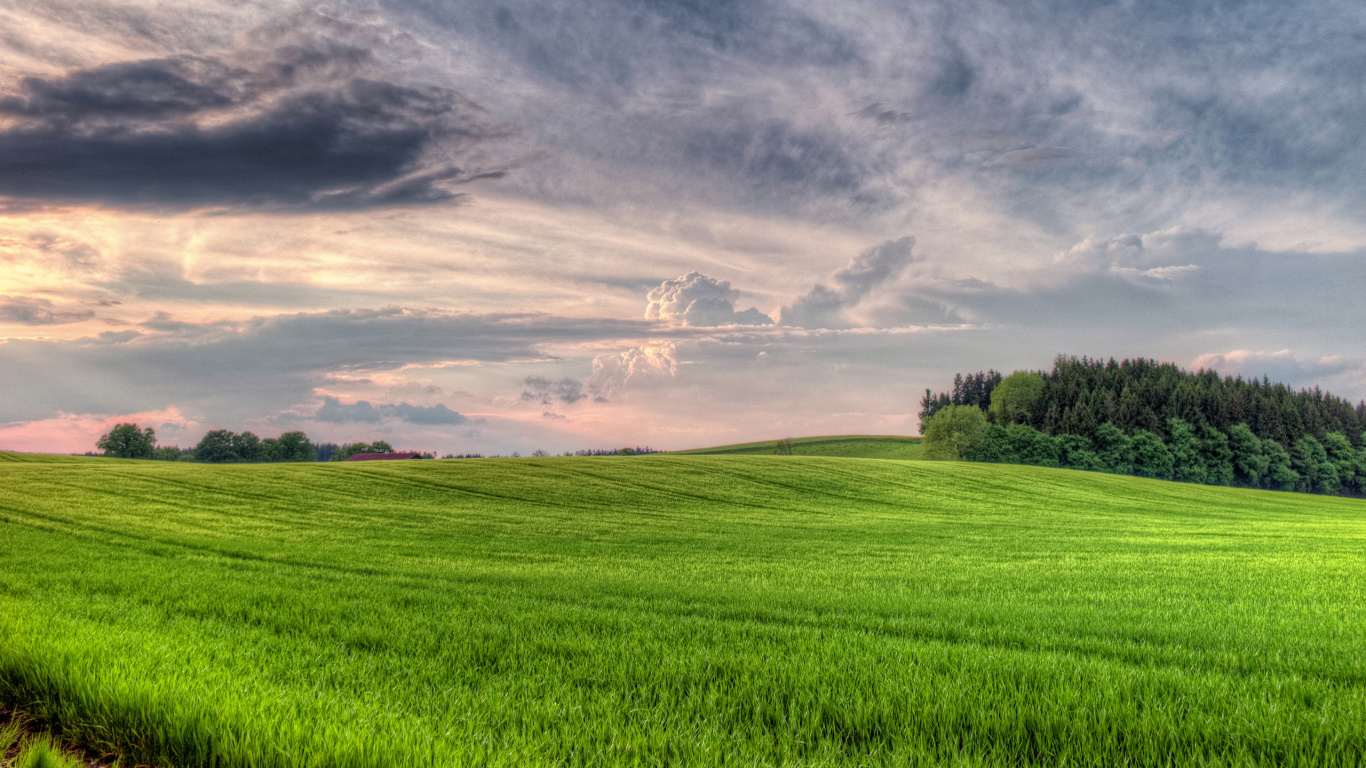 Grüne Wiese Unter Grauen Wolken. Wallpaper in 1366x768 Resolution
