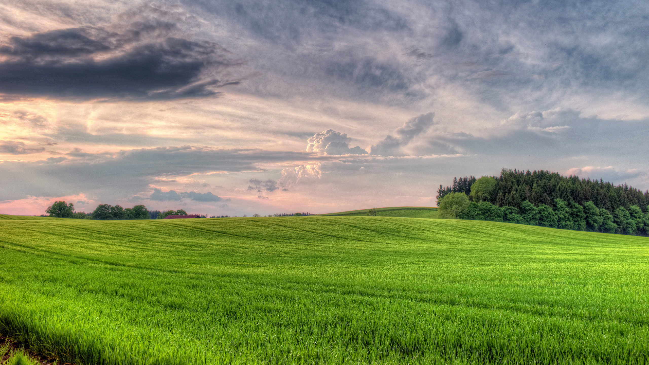 Green Grass Field Under Gray Clouds. Wallpaper in 2560x1440 Resolution