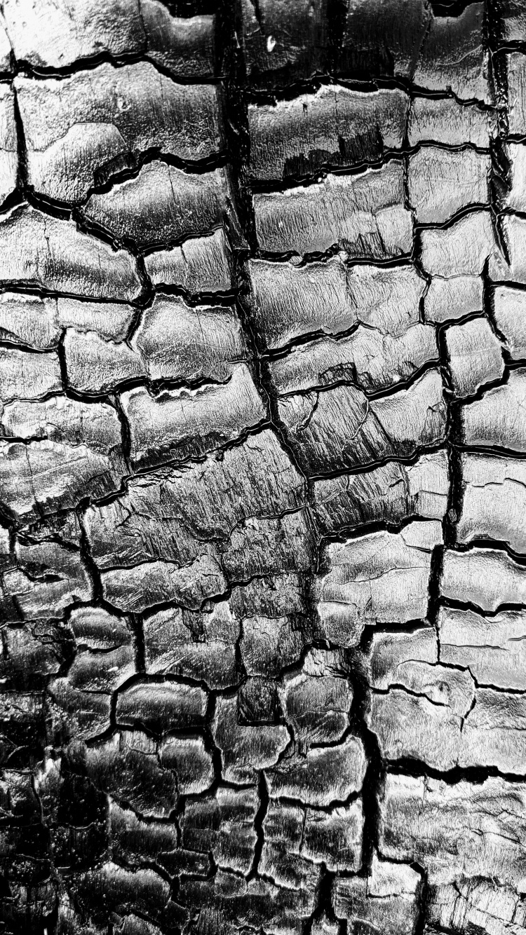 Steinmauer, Schwarz Und Weiß, Fahrbahn, Farbtöne Und Schattierungen, Muster. Wallpaper in 750x1334 Resolution