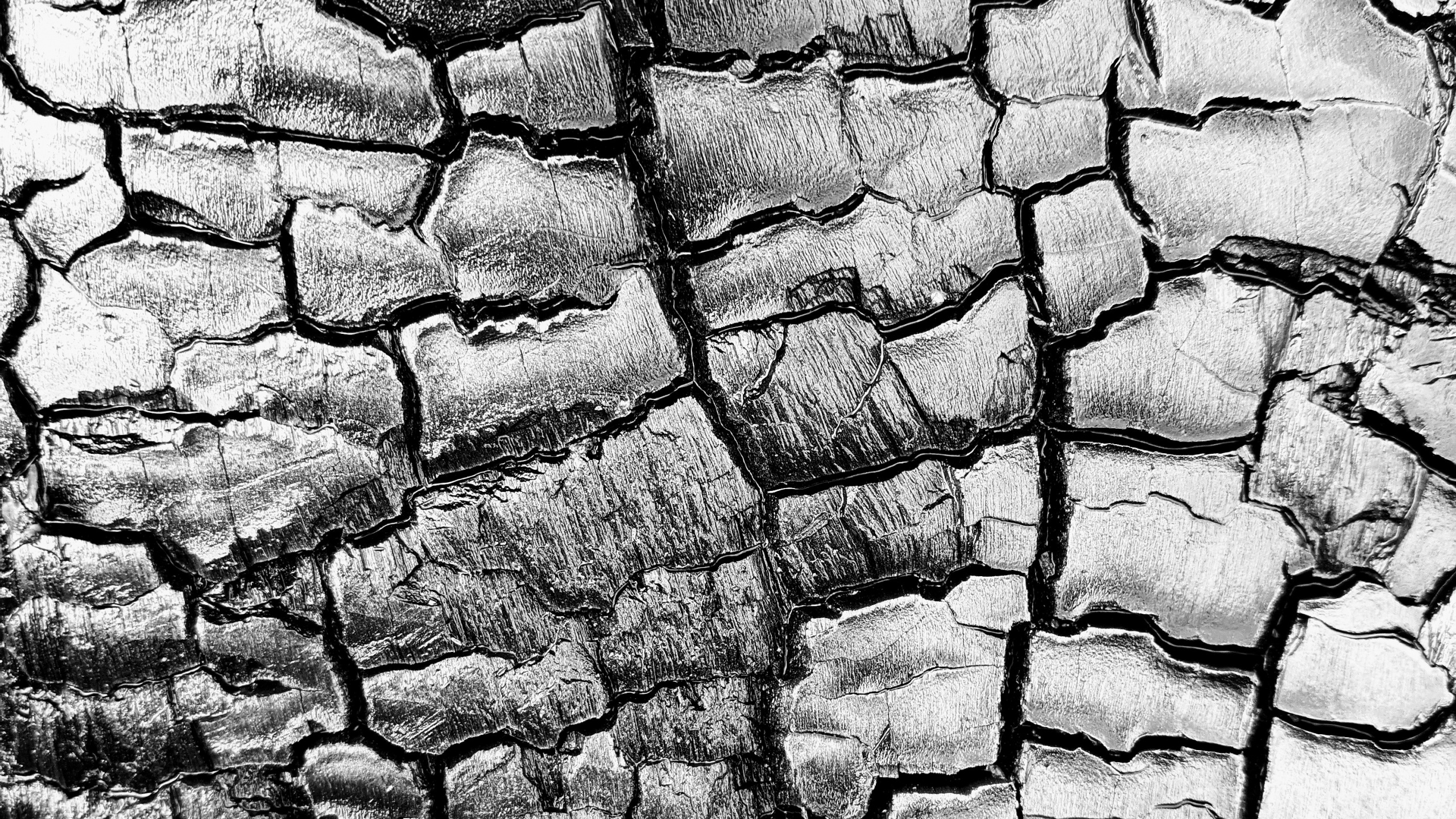 Stone Wall, Black and White, Road Surface, Grey, Building Material. Wallpaper in 2560x1440 Resolution