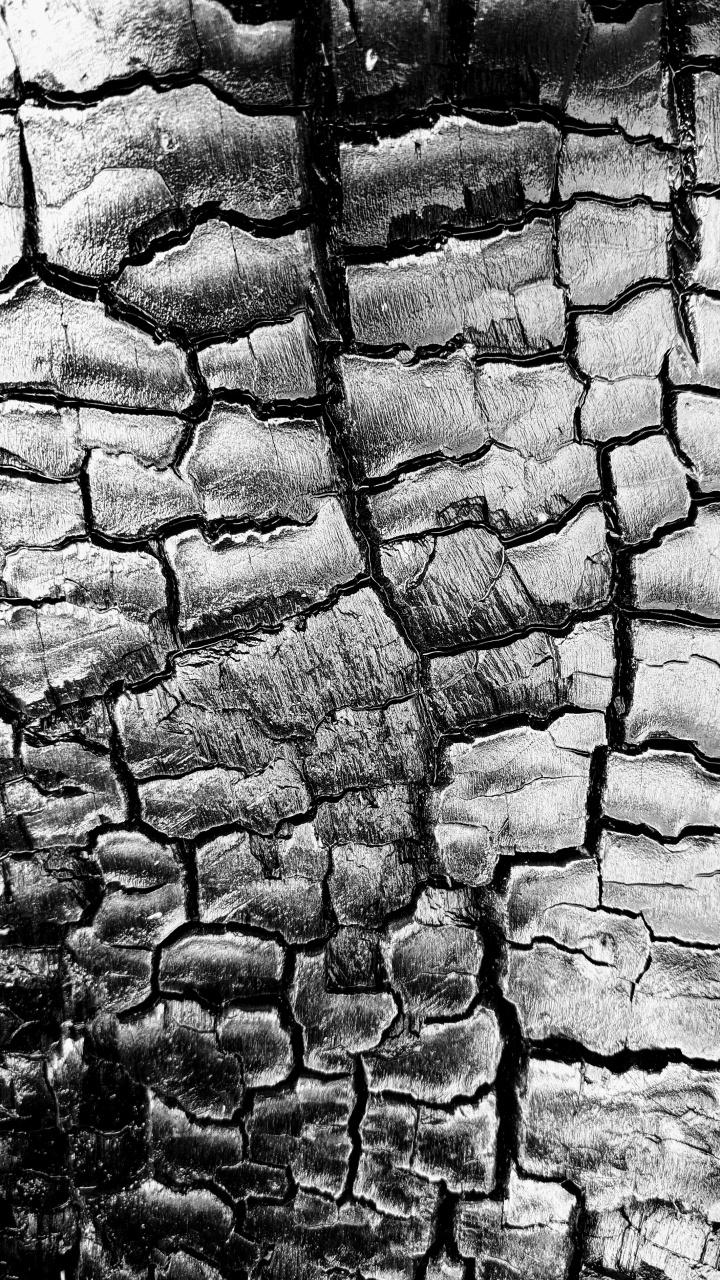Stone Wall, Black and White, Road Surface, Grey, Building Material. Wallpaper in 720x1280 Resolution