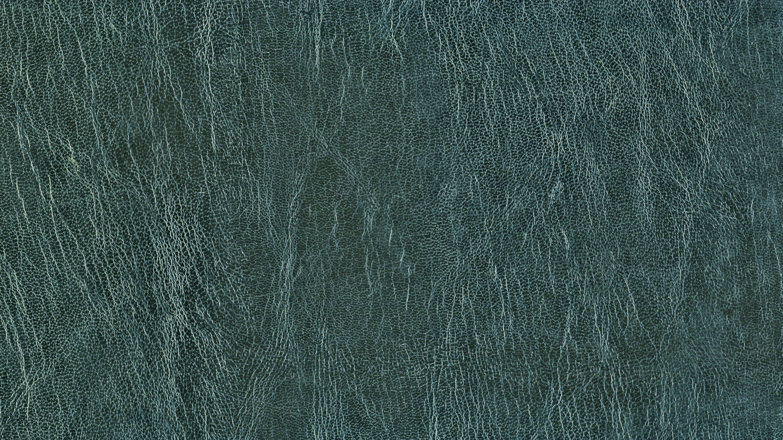 Textil Púrpura en Fotografía de Cerca. Wallpaper in 2560x1440 Resolution