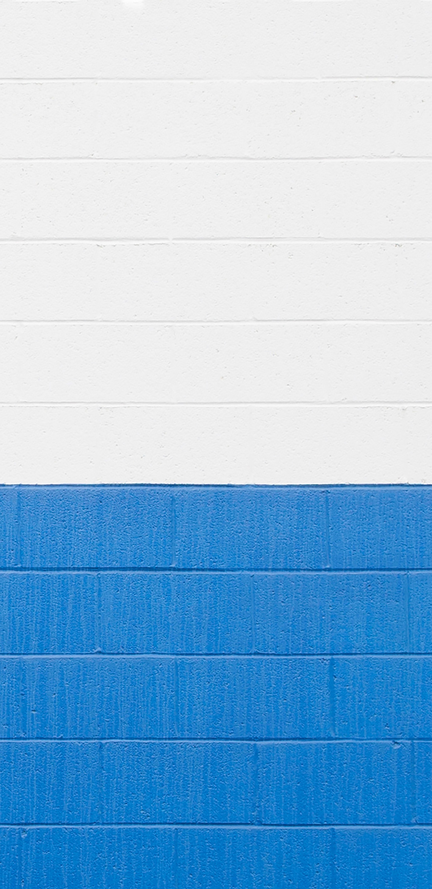 Cobalt Blue, Azure, Nokia, Electric Blue, Brick. Wallpaper in 1440x2960 Resolution