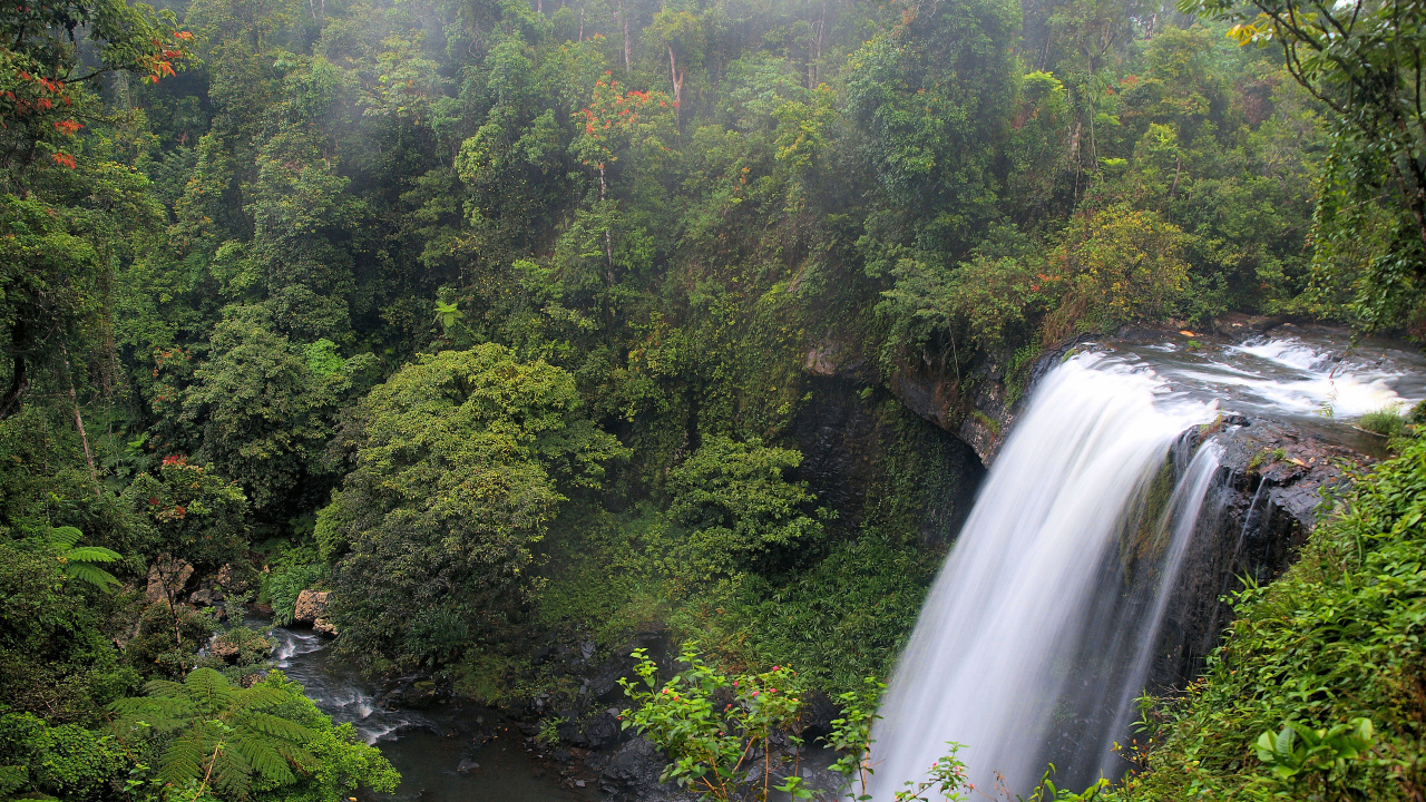 Cascades au Milieu Des Arbres Verts. Wallpaper in 1280x720 Resolution