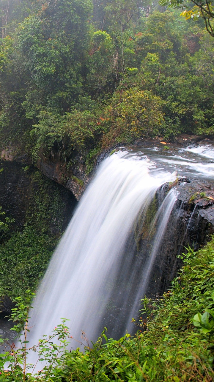 Waterfalls in The Middle of Green Trees. Wallpaper in 720x1280 Resolution