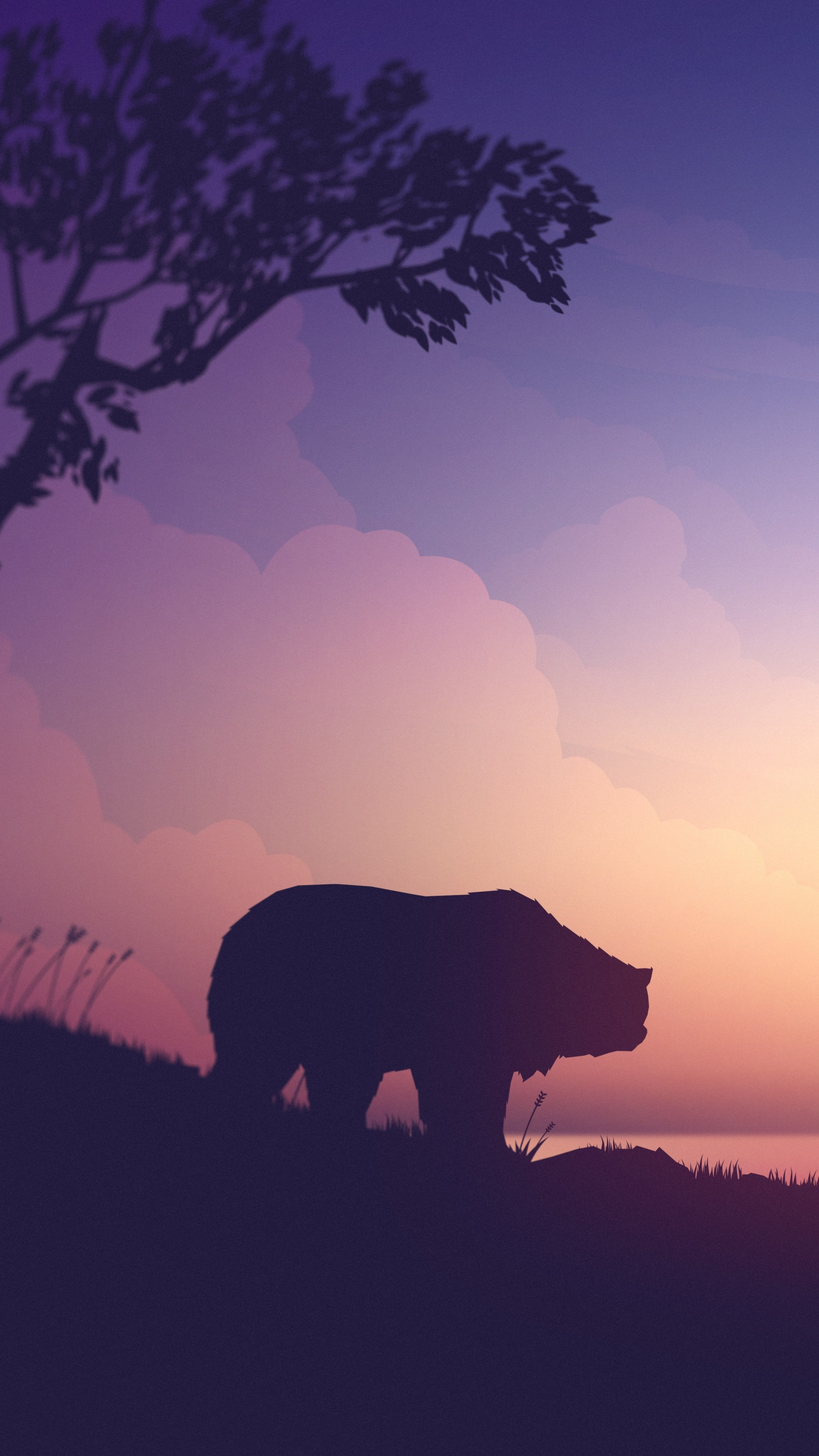 Lever, Afterglow, Paysage Naturel, Matin, Horizon. Wallpaper in 1440x2560 Resolution