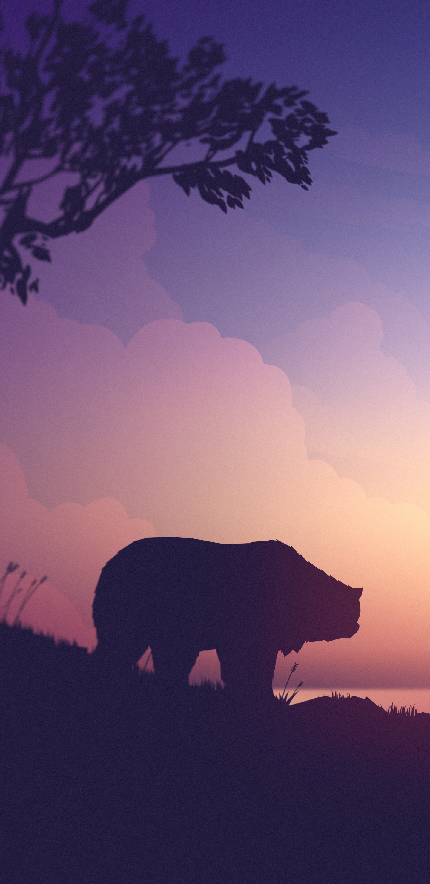 Afterglow, Paisaje Natural, Mañana, Puesta, Silueta. Wallpaper in 1440x2960 Resolution