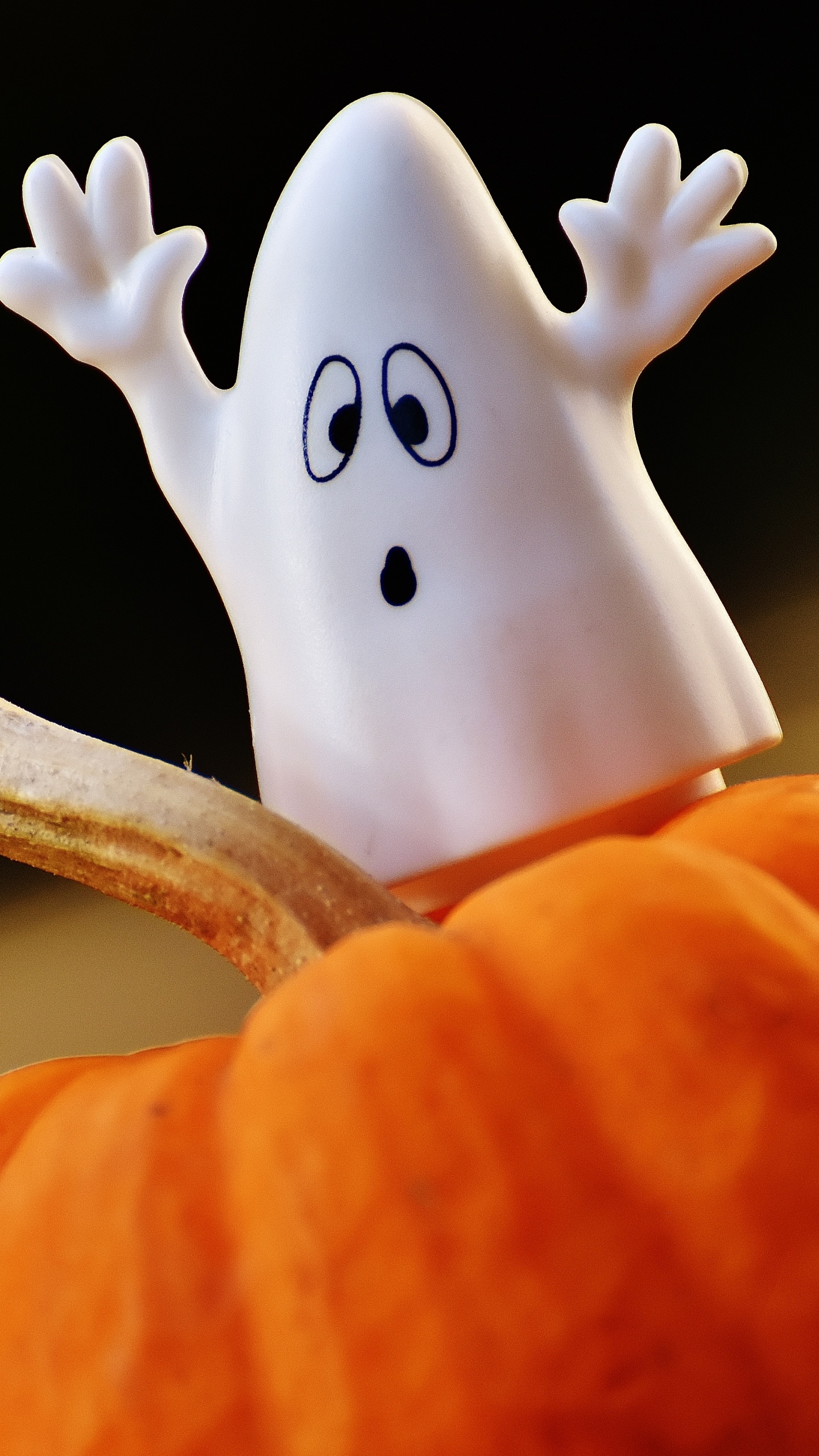 Ghost, Orange, Finger, Hand, Pumpkin. Wallpaper in 1440x2560 Resolution