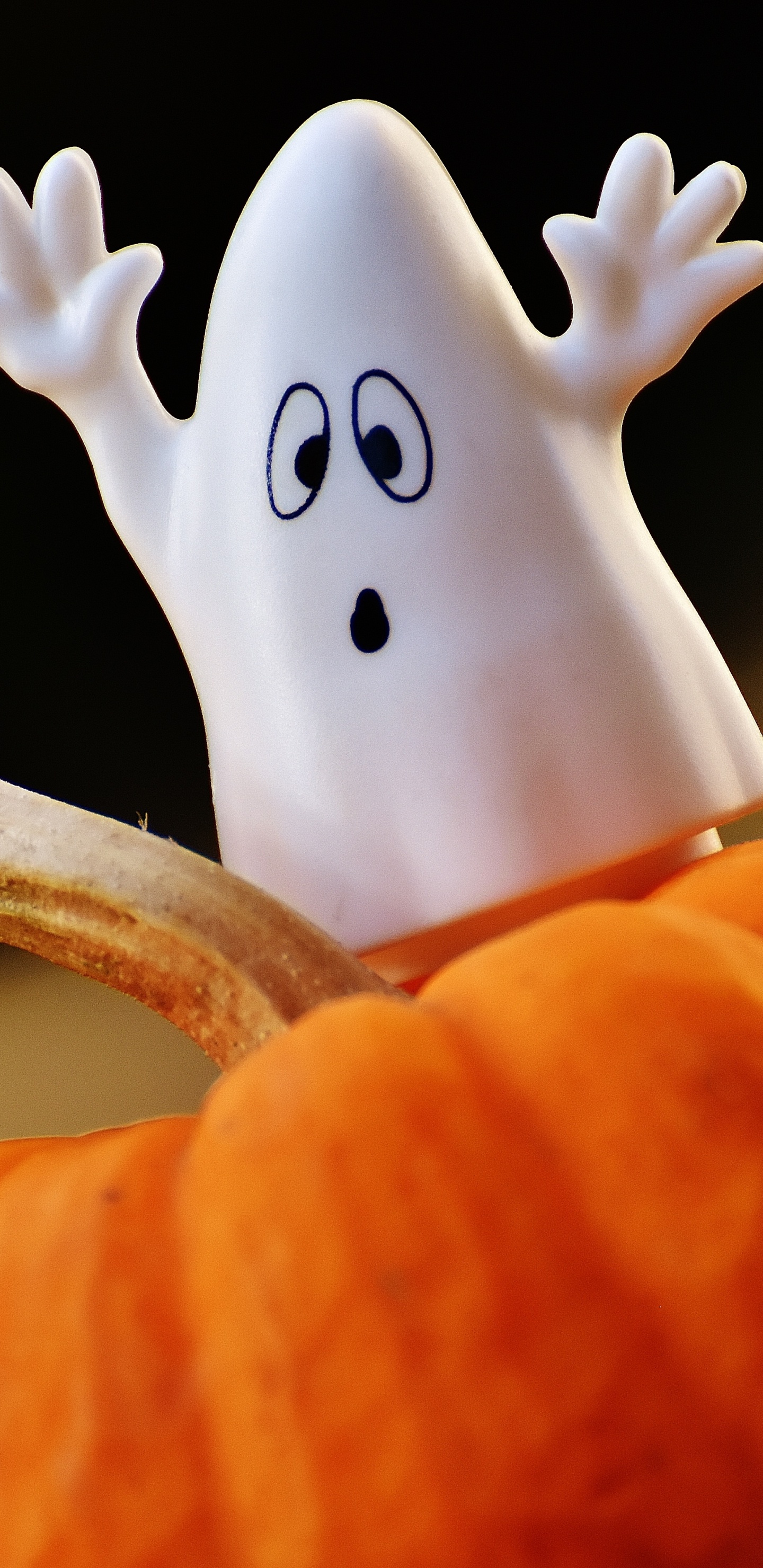 Ghost, Orange, Finger, Hand, Pumpkin. Wallpaper in 1440x2960 Resolution