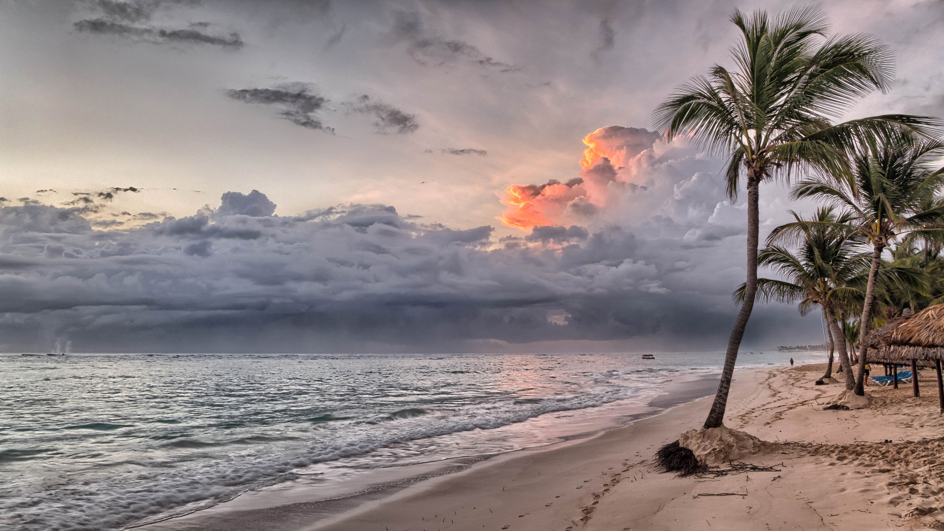 Palm Tree on Beach Shore During Sunset. Wallpaper in 1920x1080 Resolution