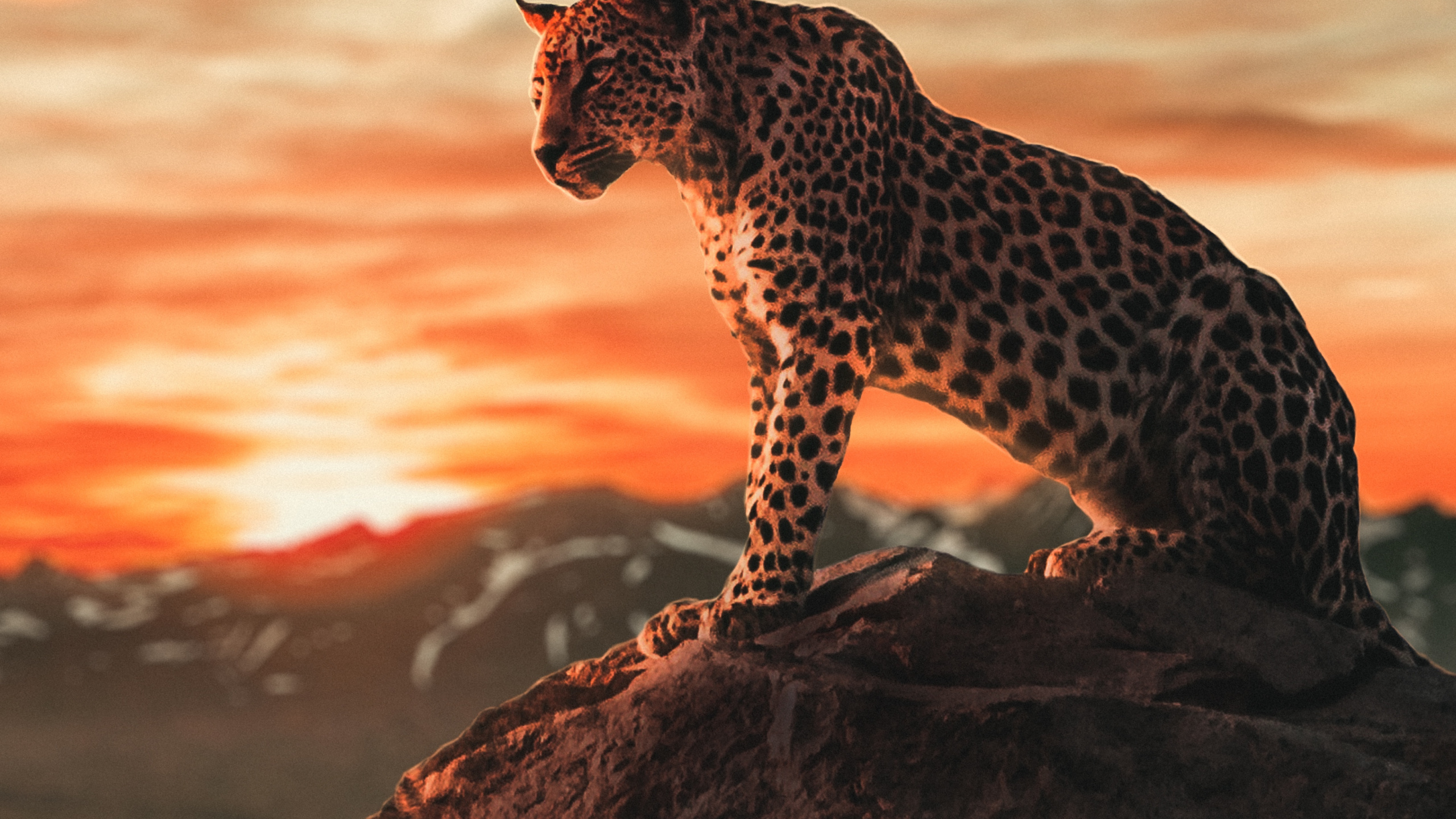 Leones, Tigre, Ios, Android, Smartphone. Wallpaper in 2560x1440 Resolution