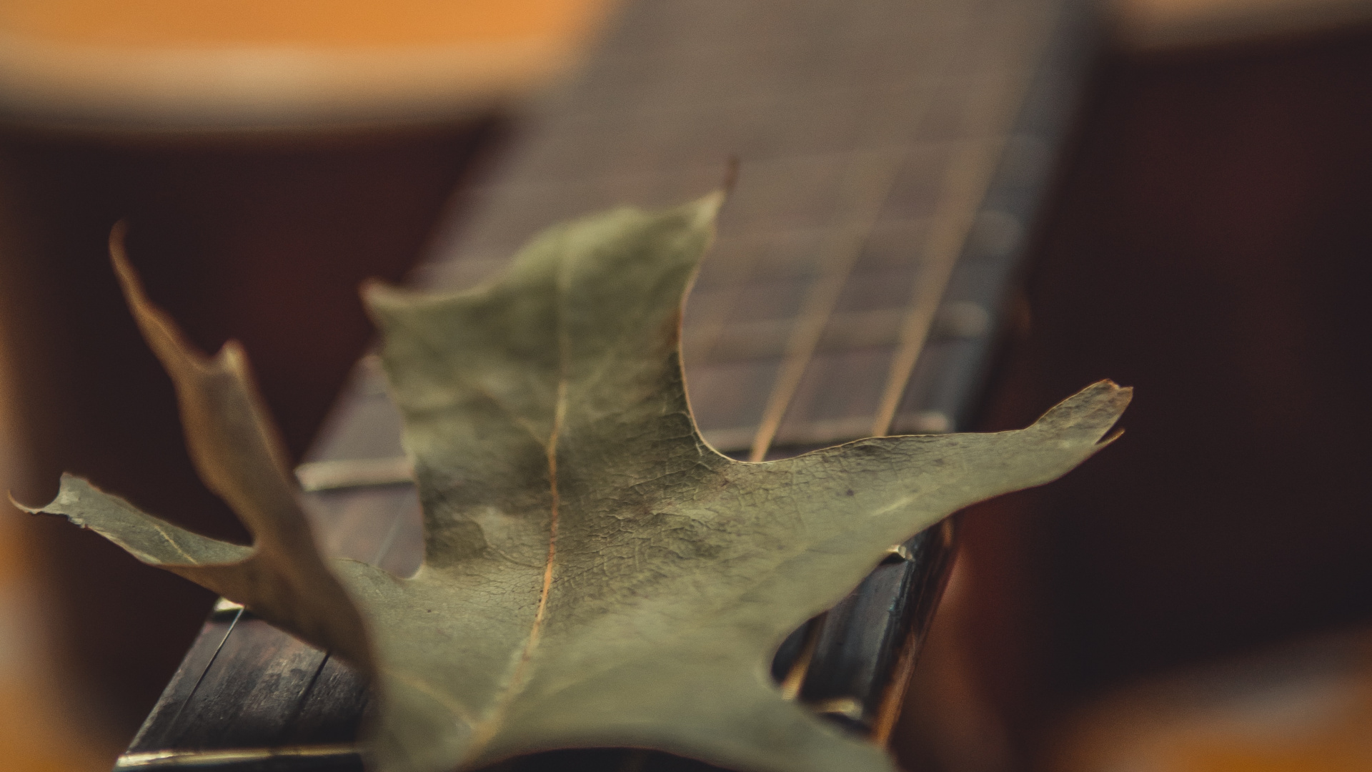 Green Leaf on Brown Guitar. Wallpaper in 1920x1080 Resolution
