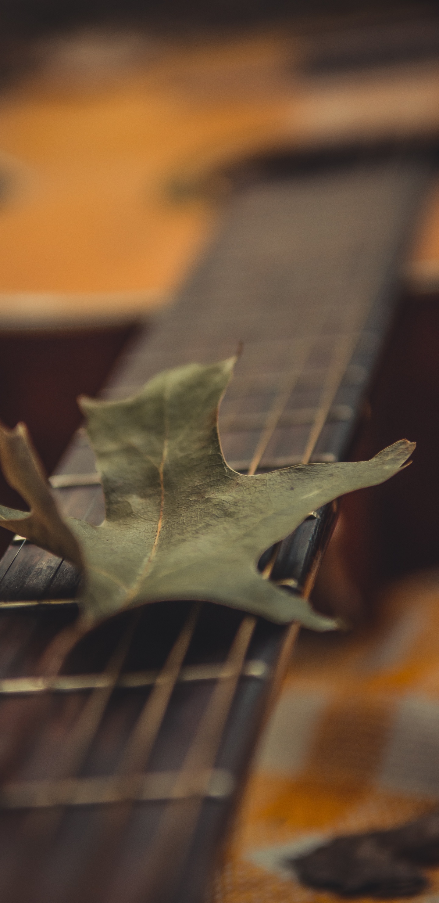 Grünes Blatt Auf Brauner Gitarre. Wallpaper in 1440x2960 Resolution